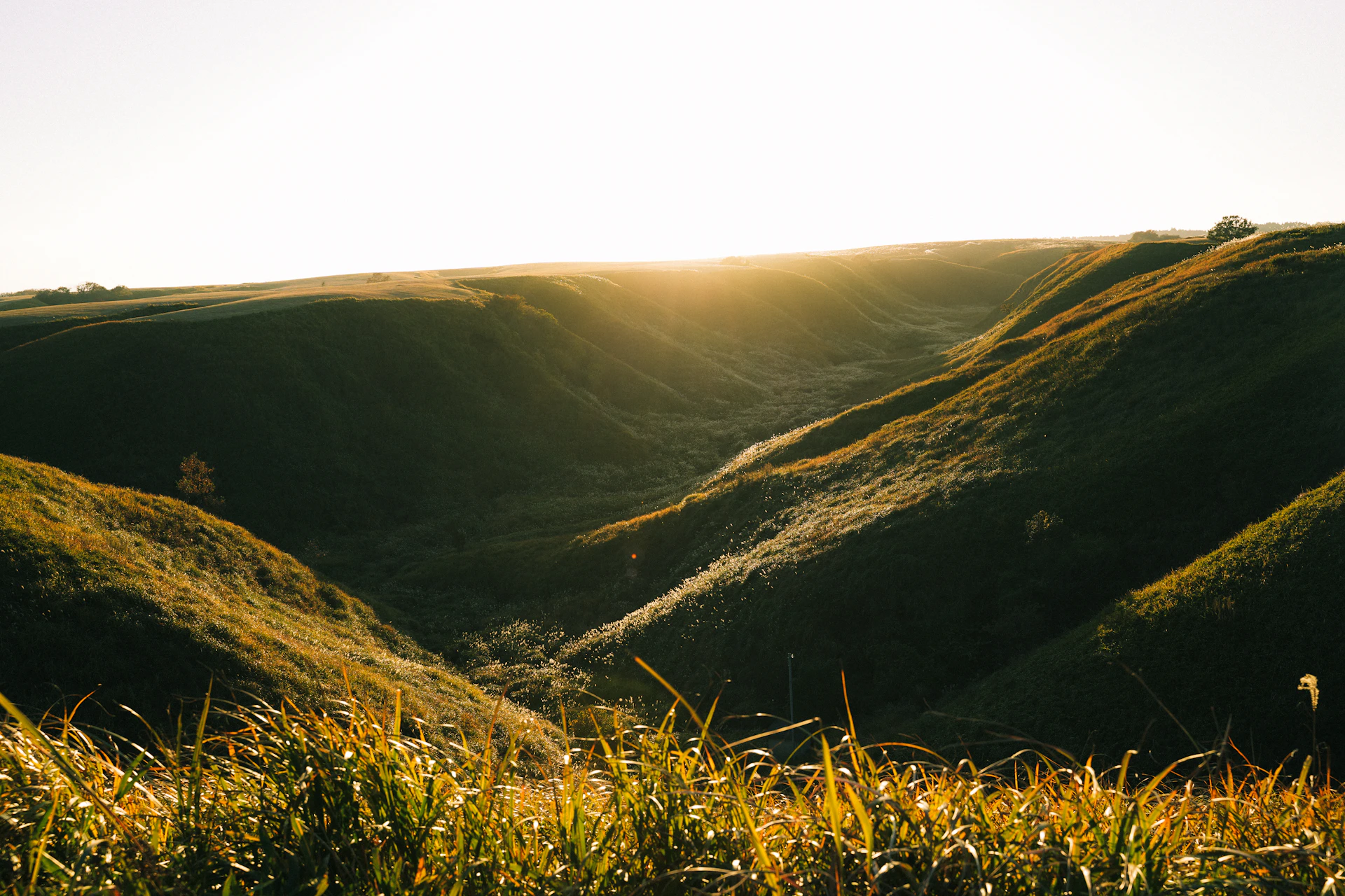 Rolling hills bathed in warm sunset light