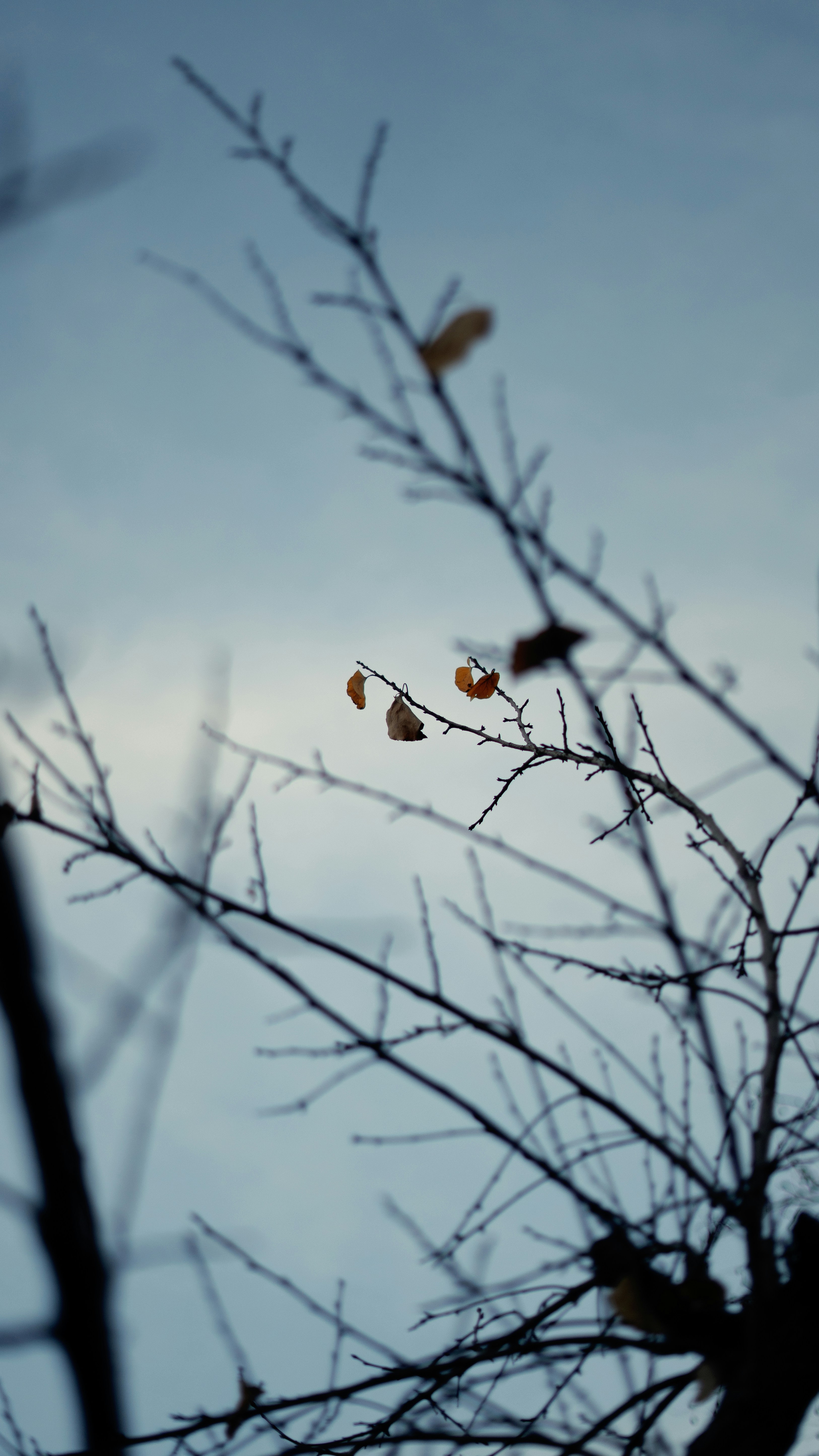 Photo by mrcharkhgard