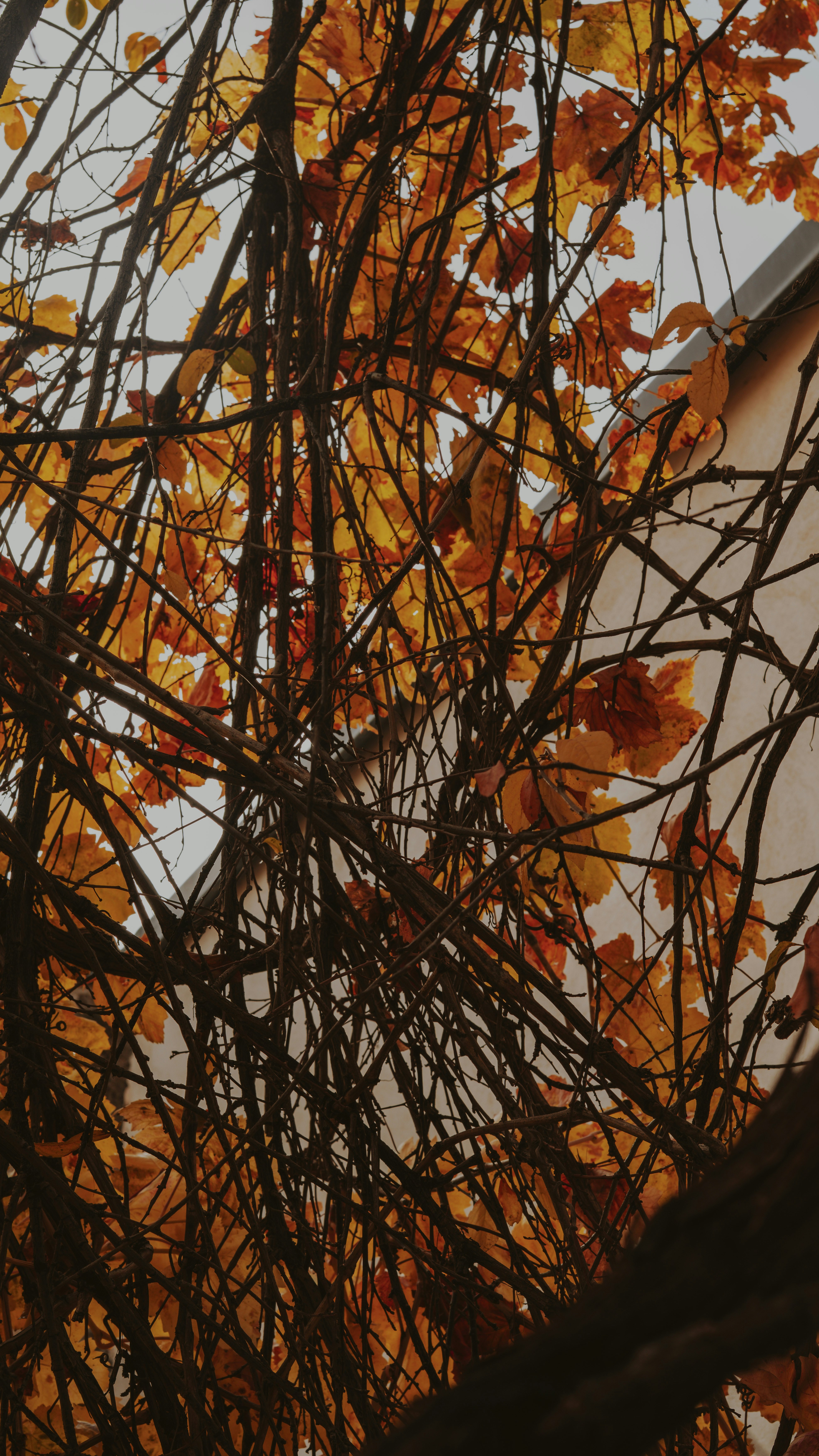 Photo by mrcharkhgard