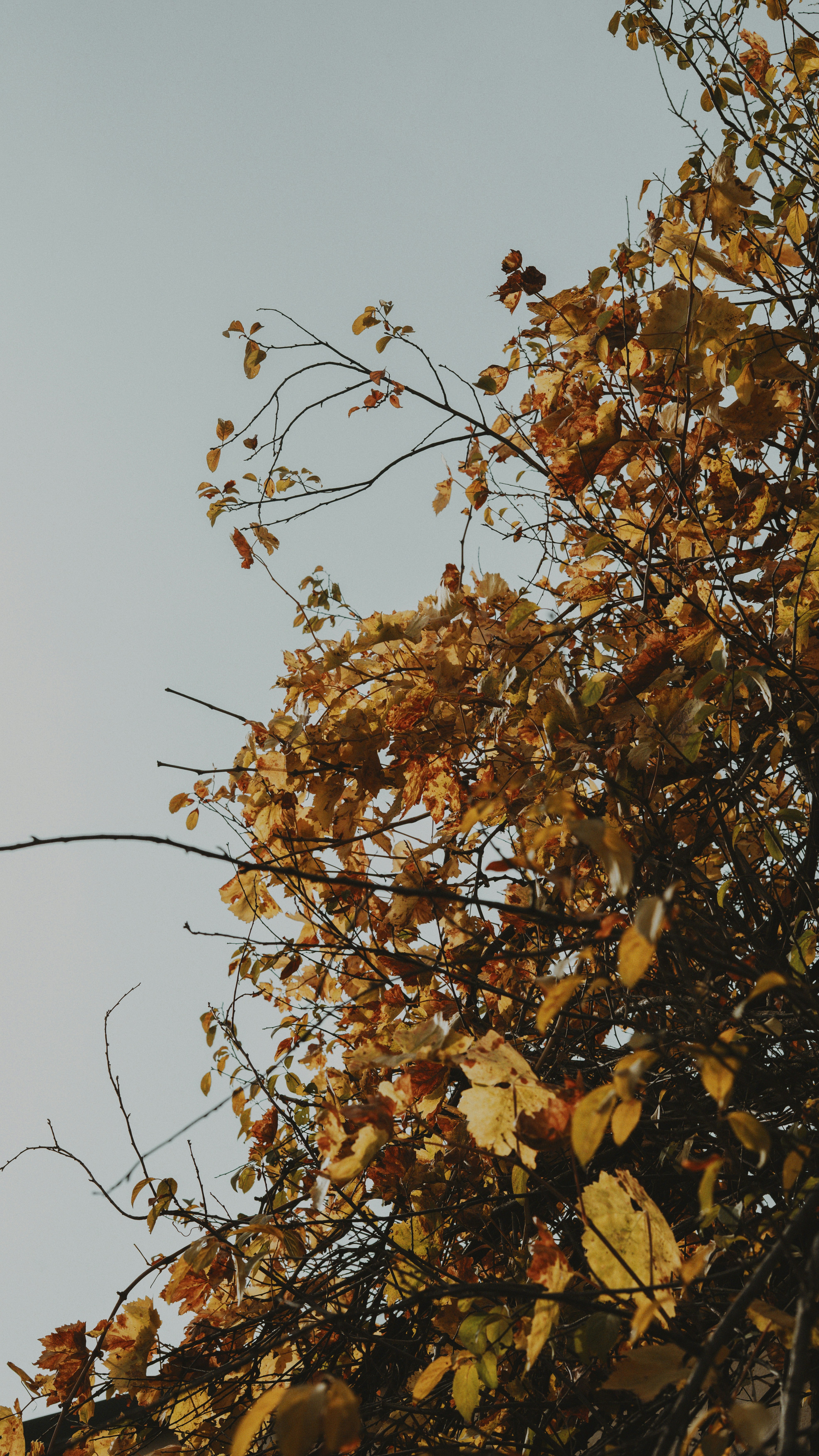 Photo by mrcharkhgard