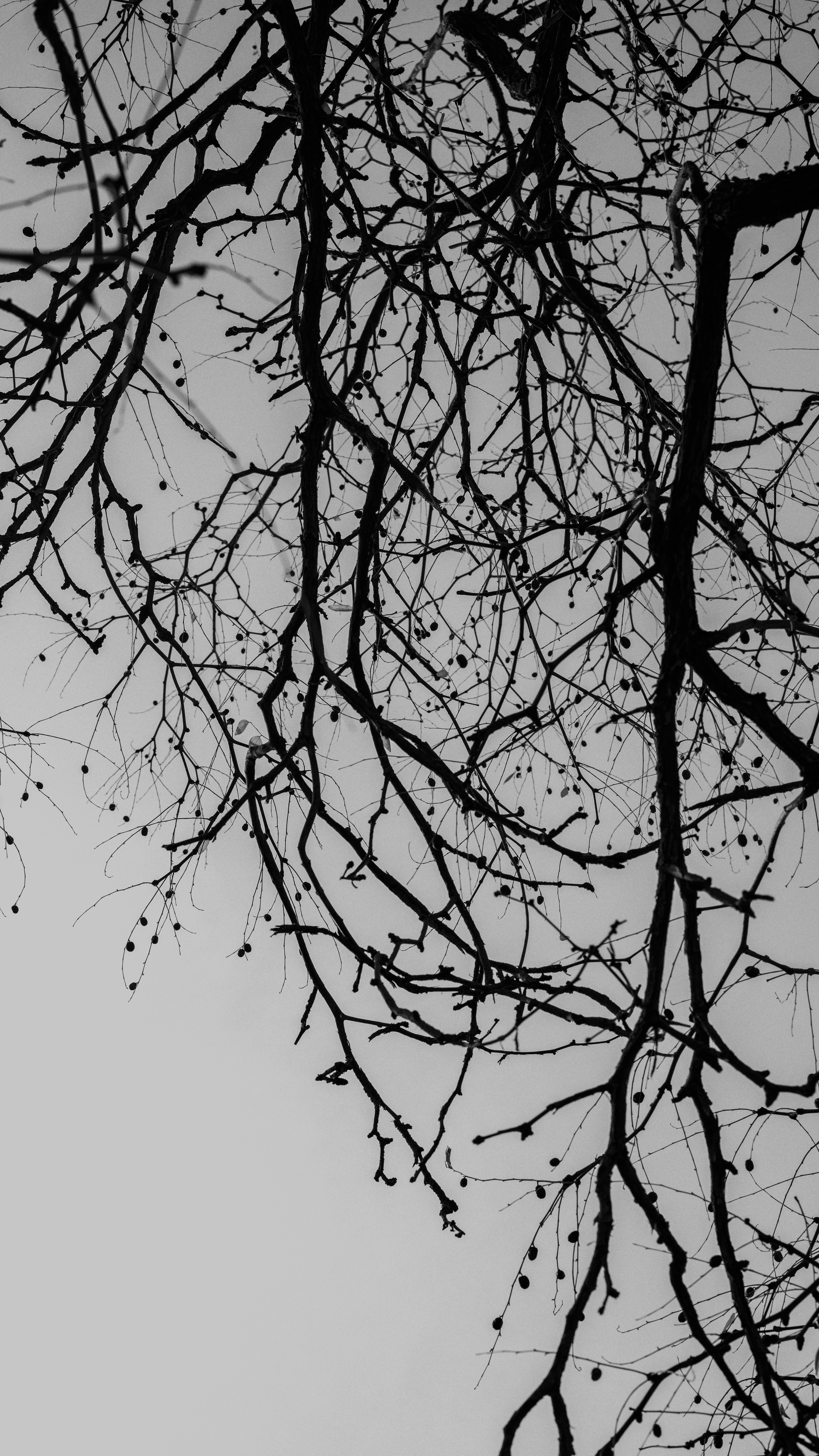 Photo by mrcharkhgard