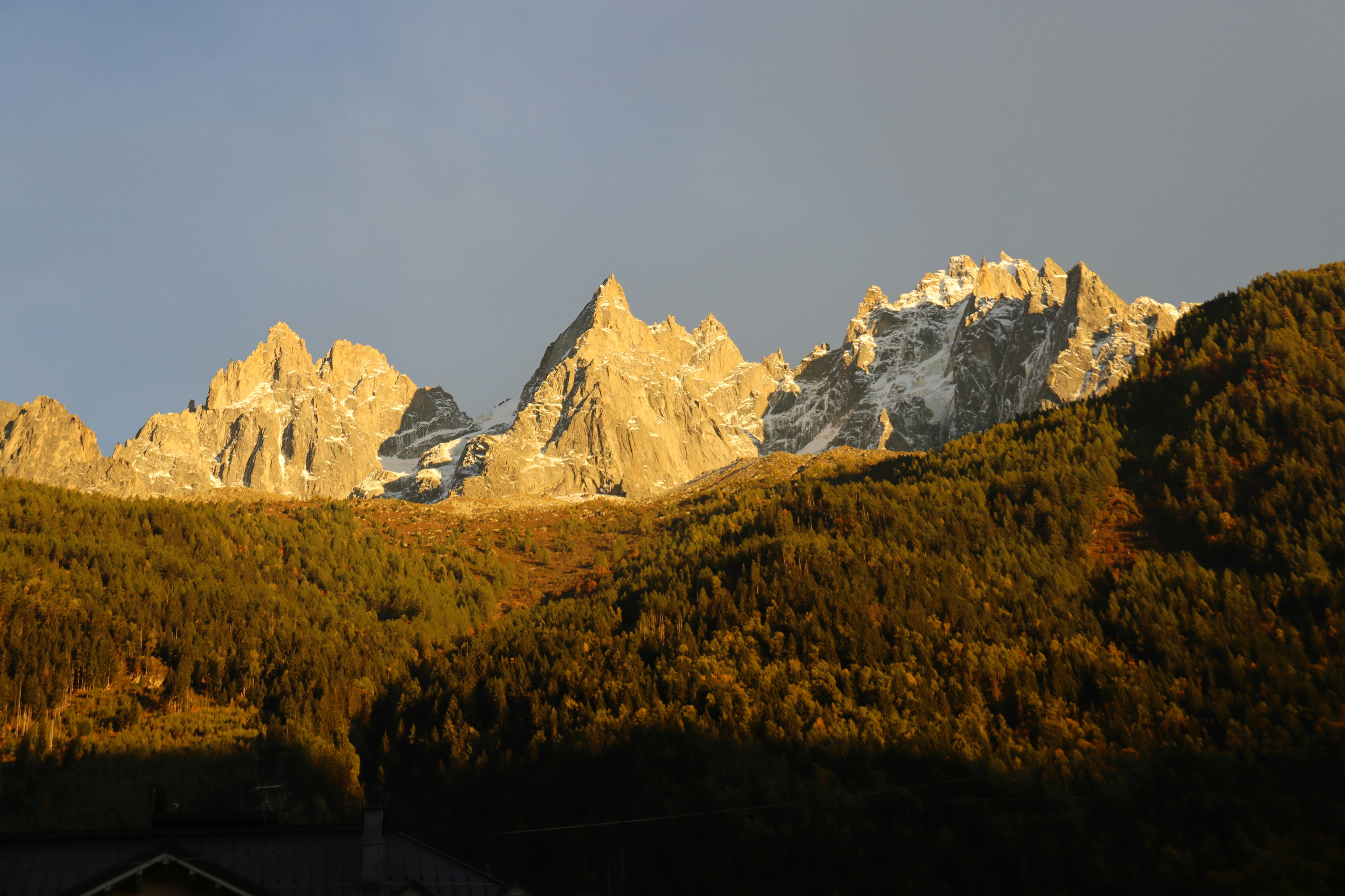 Photo by shalevcohen