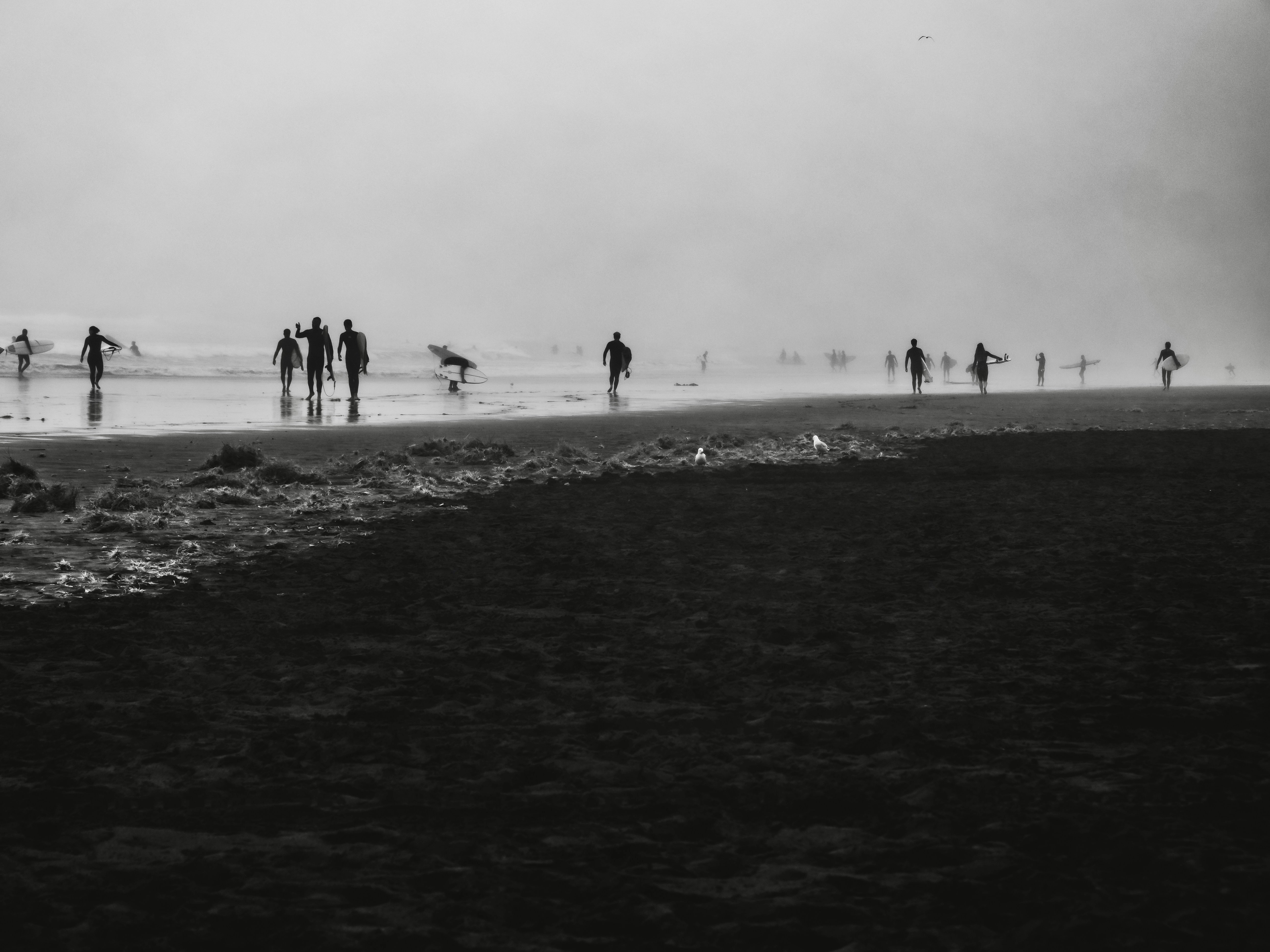 Photo by sschusterphotoart