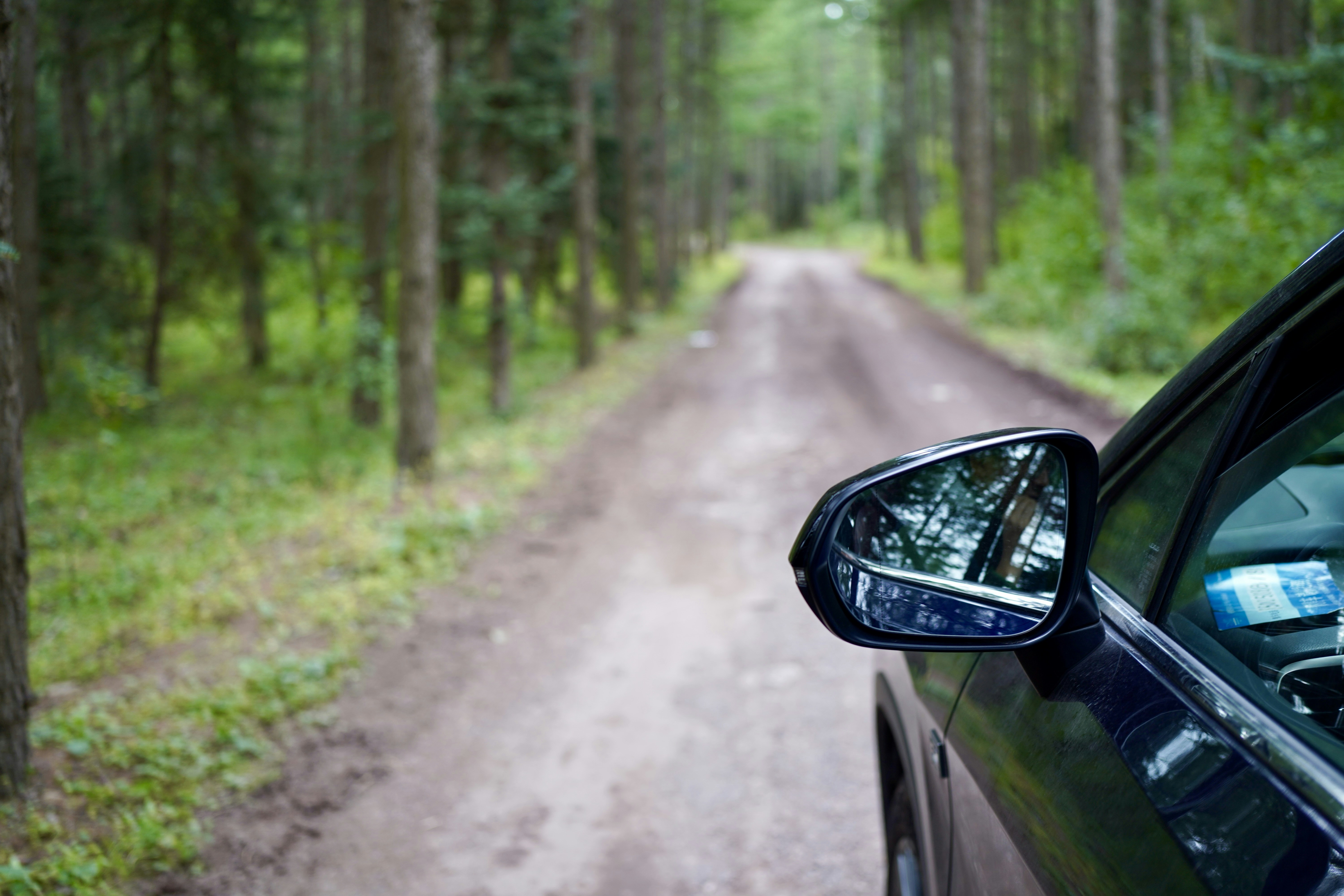 Car driving on a dirt road through a forest