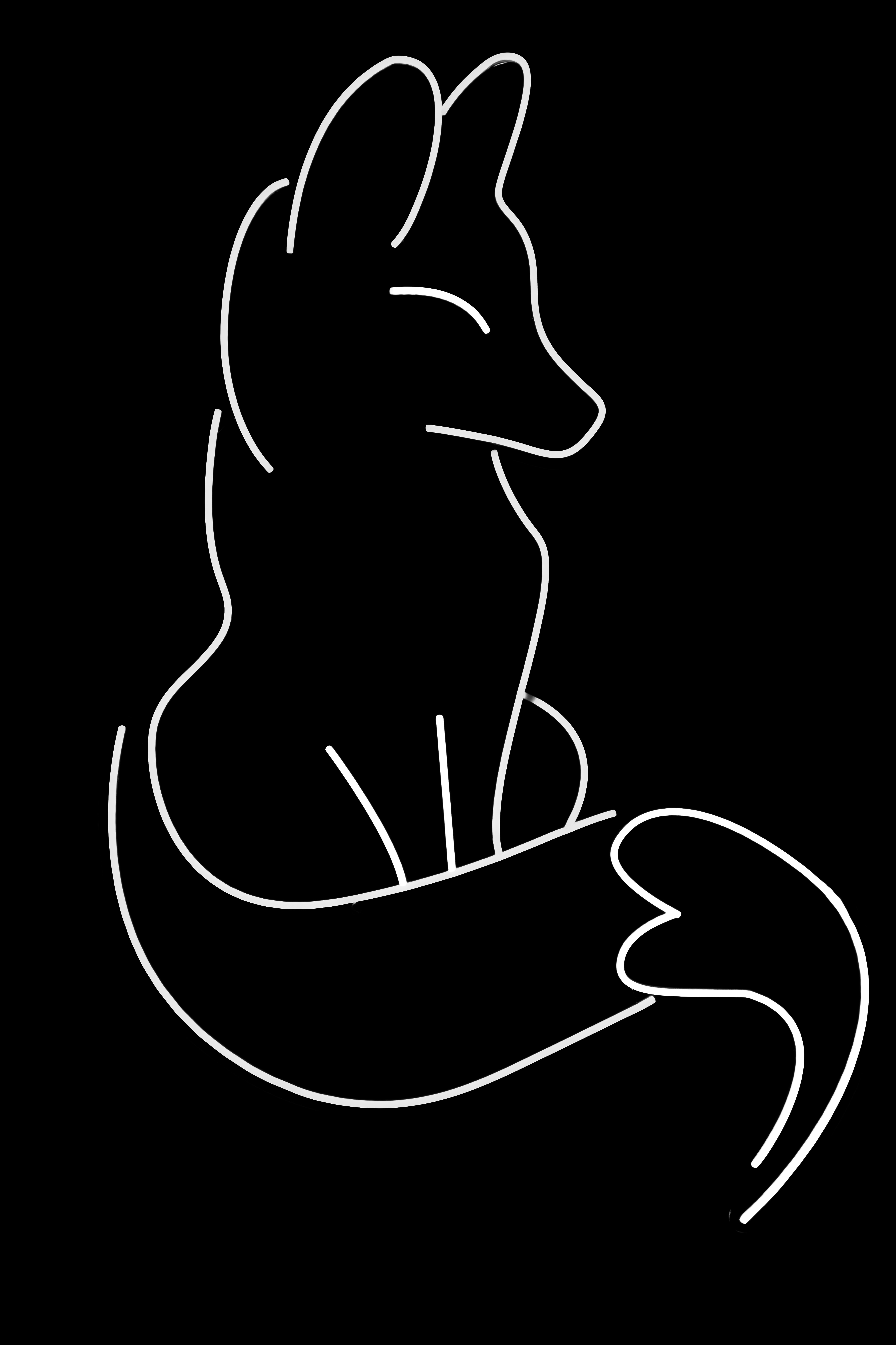 Minimalist white outline of a fox on black background