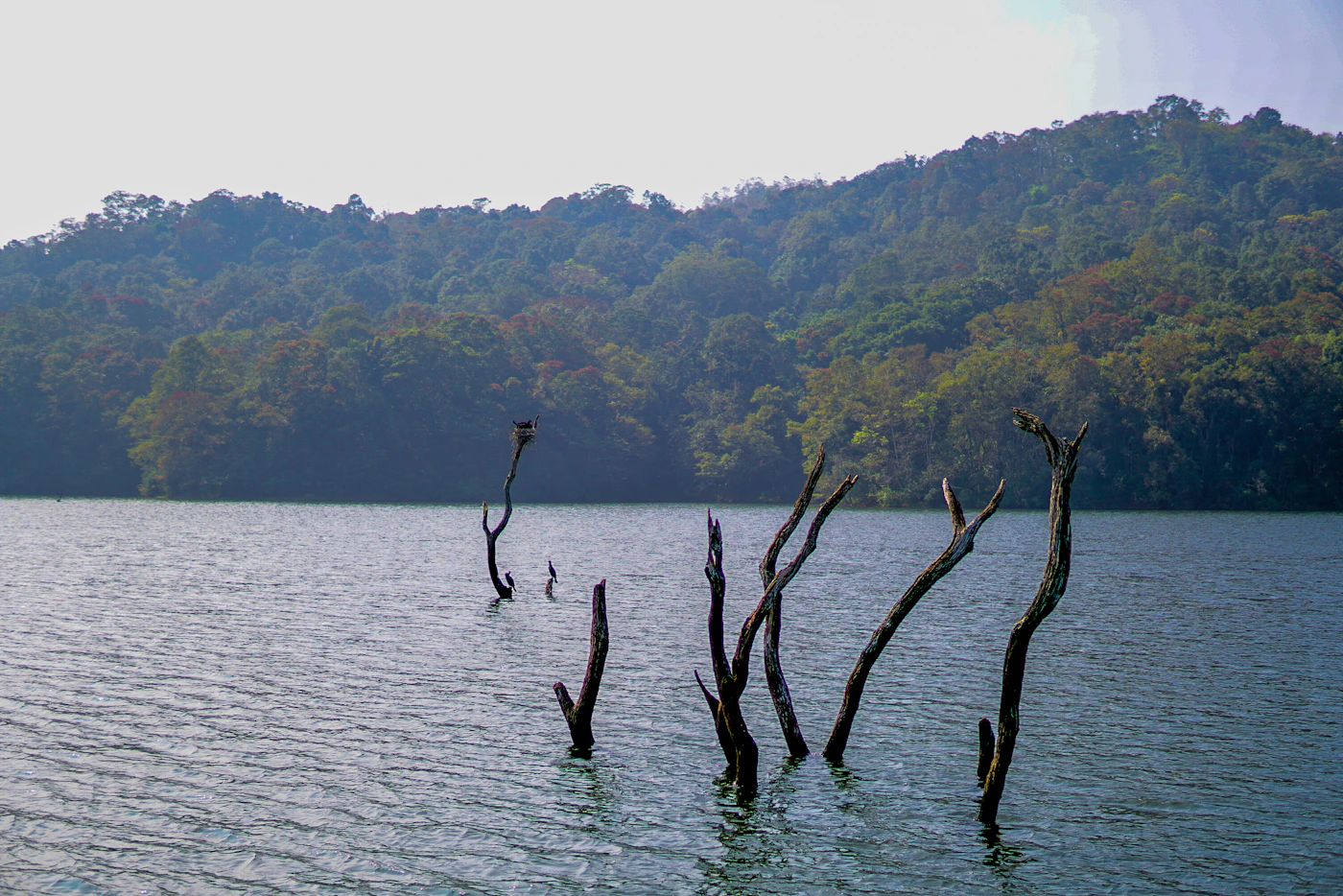 Kerala Nature & Spice Trail