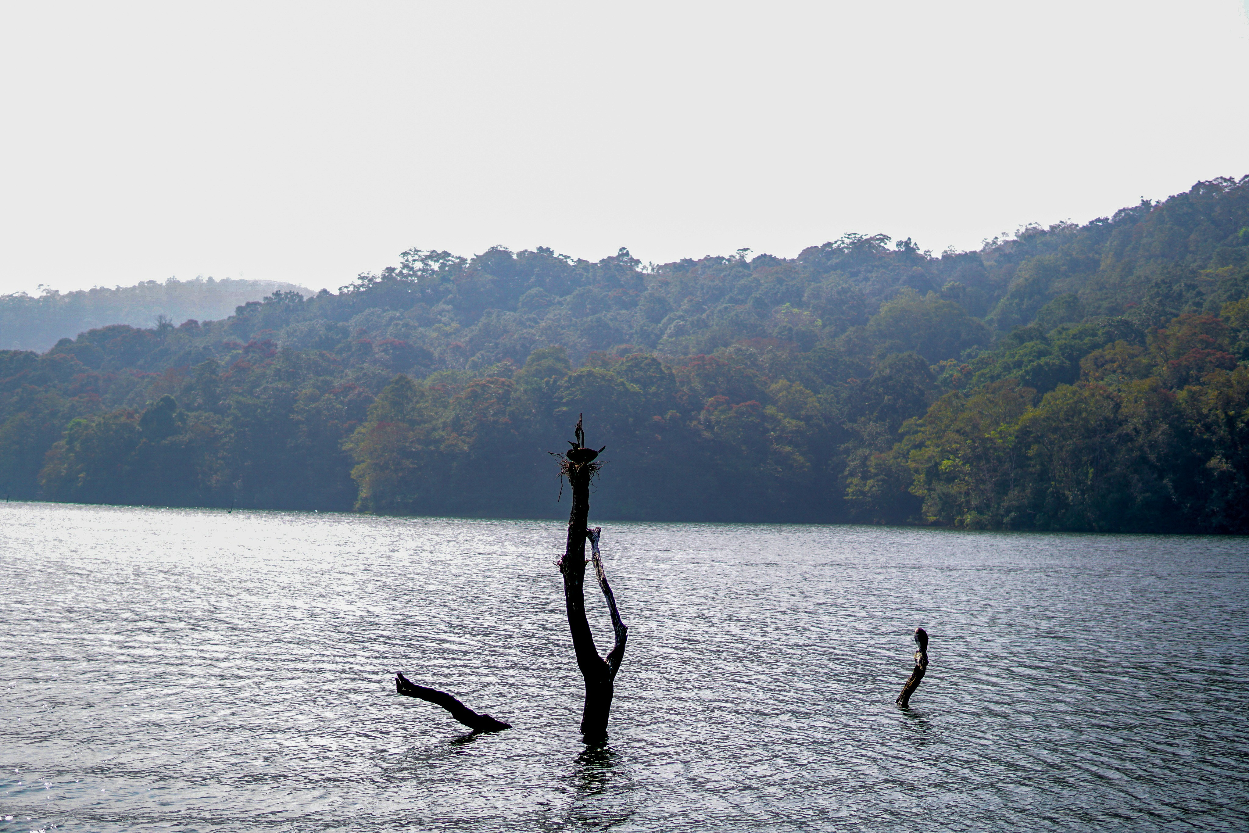 Photo by prince_mathews