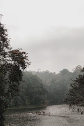 People on a raft in a serene forest river