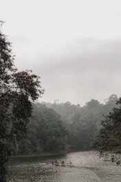 People on a raft in a serene forest river