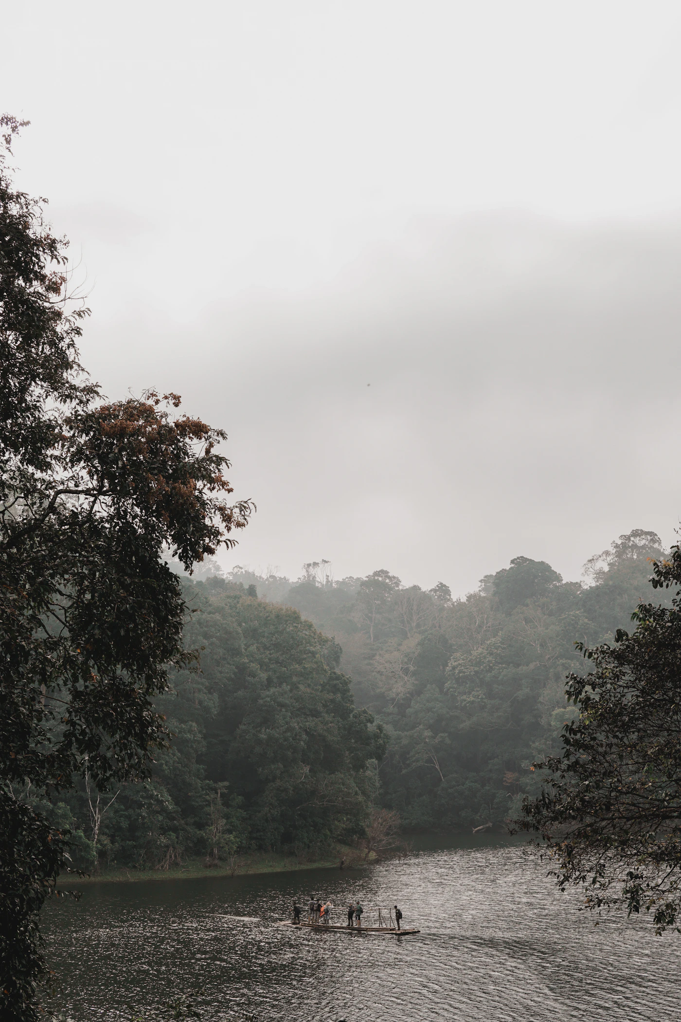 Kerala Nature & Coast