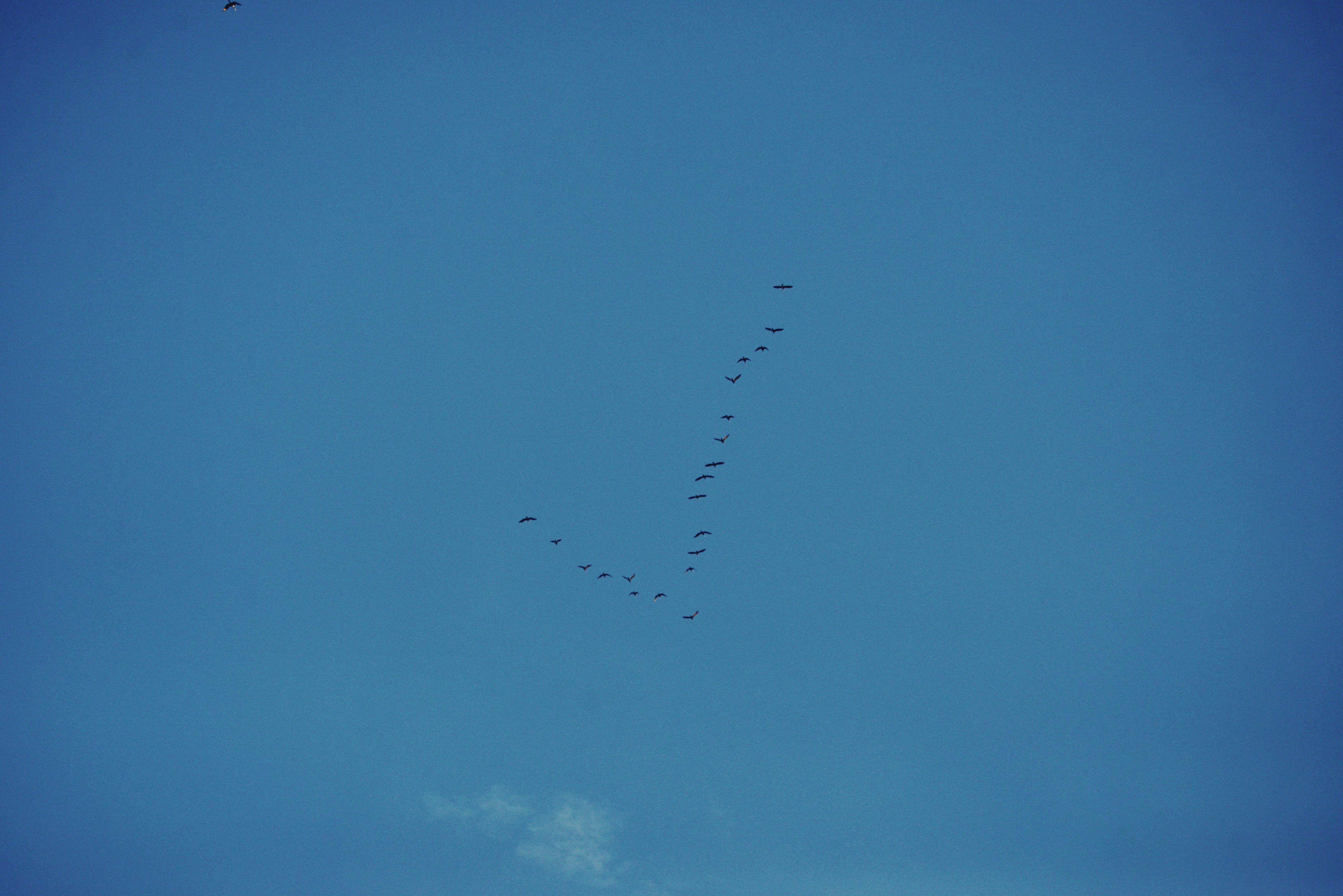 Photo by cherstve_pechivo