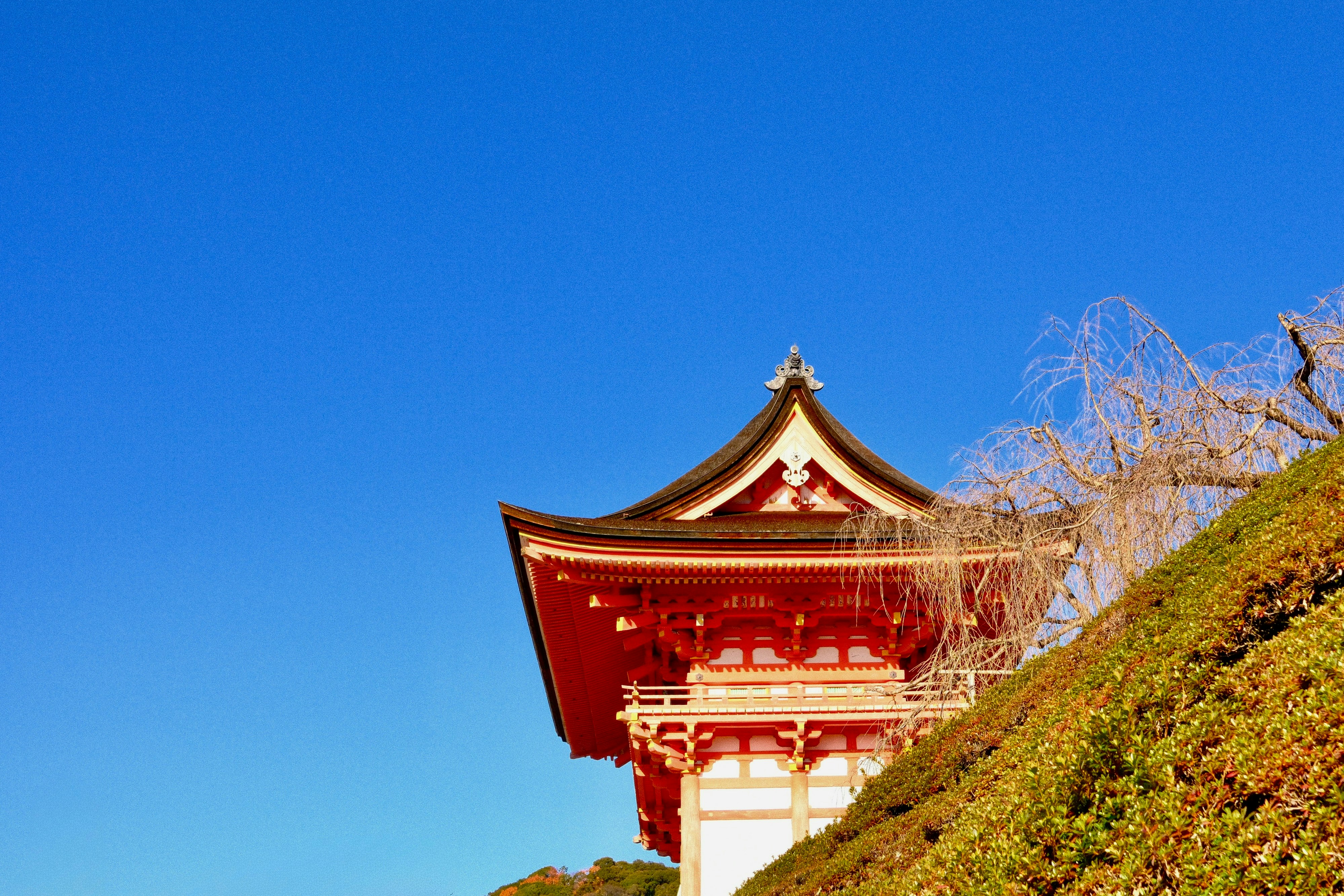 固定費 削減 方法 月1万節約の関連イメージ