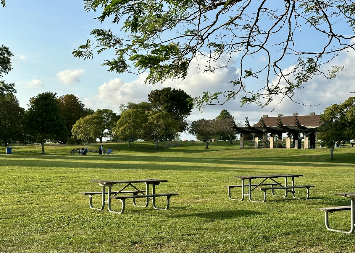Picnic tables set up in a grassy park with trees, ideal for an end of season team party or youth sports awards ceremony.