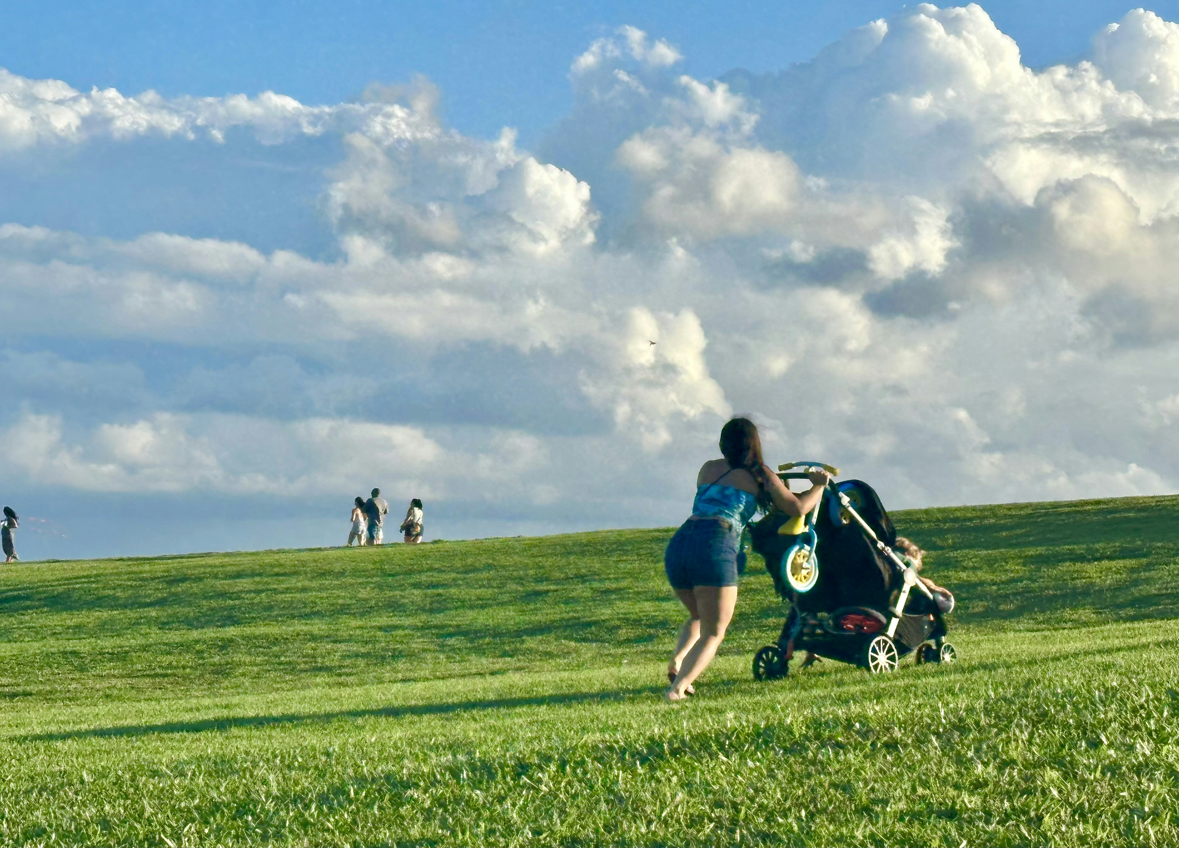 Woman pushing stroller up grassy hill under clouds