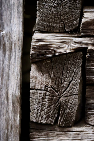 Close-up of weathered wooden logs stacked together
