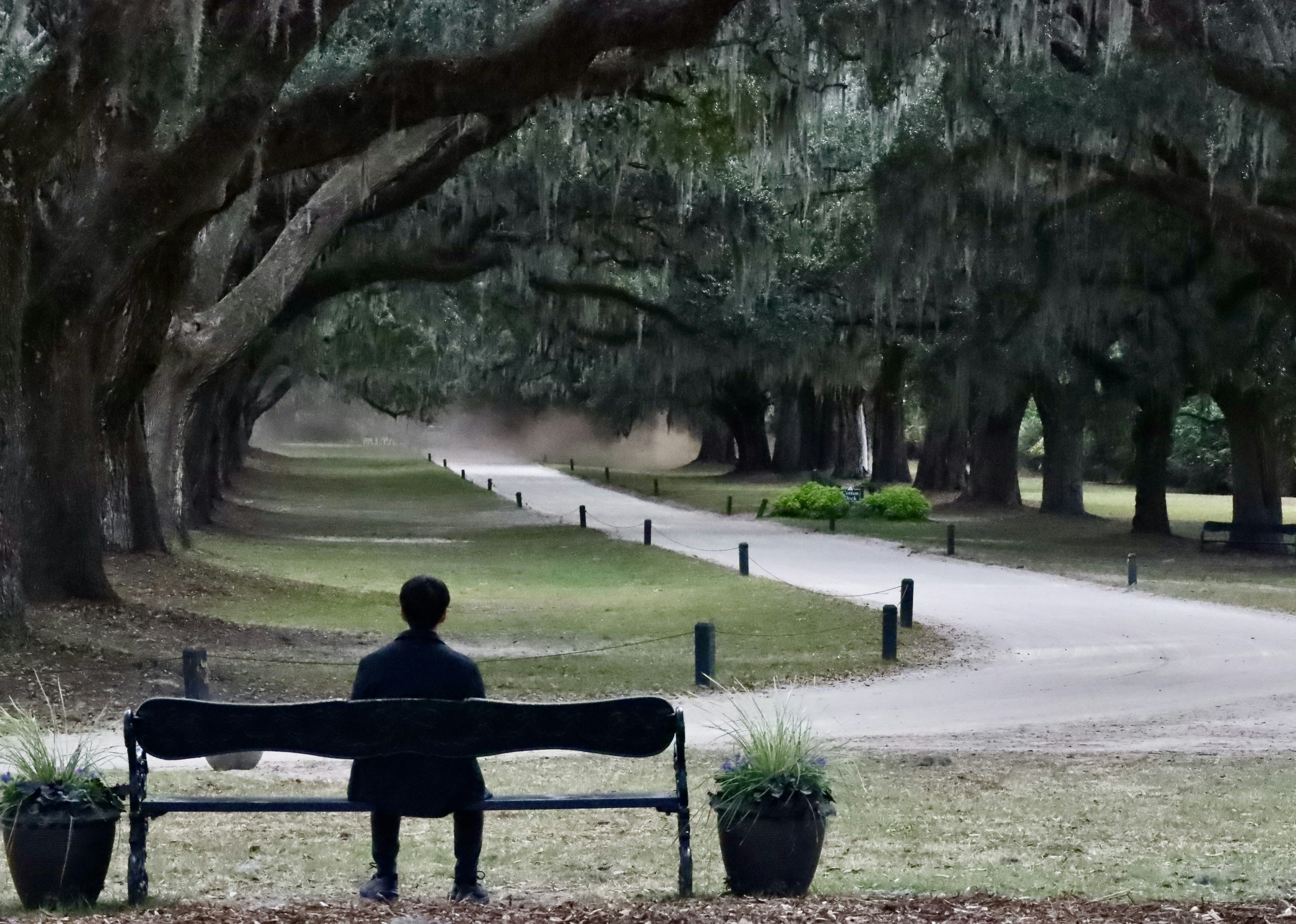 A lone man sitting under a tree at dusk, deep in thought, shadow stretching long, introspective mood