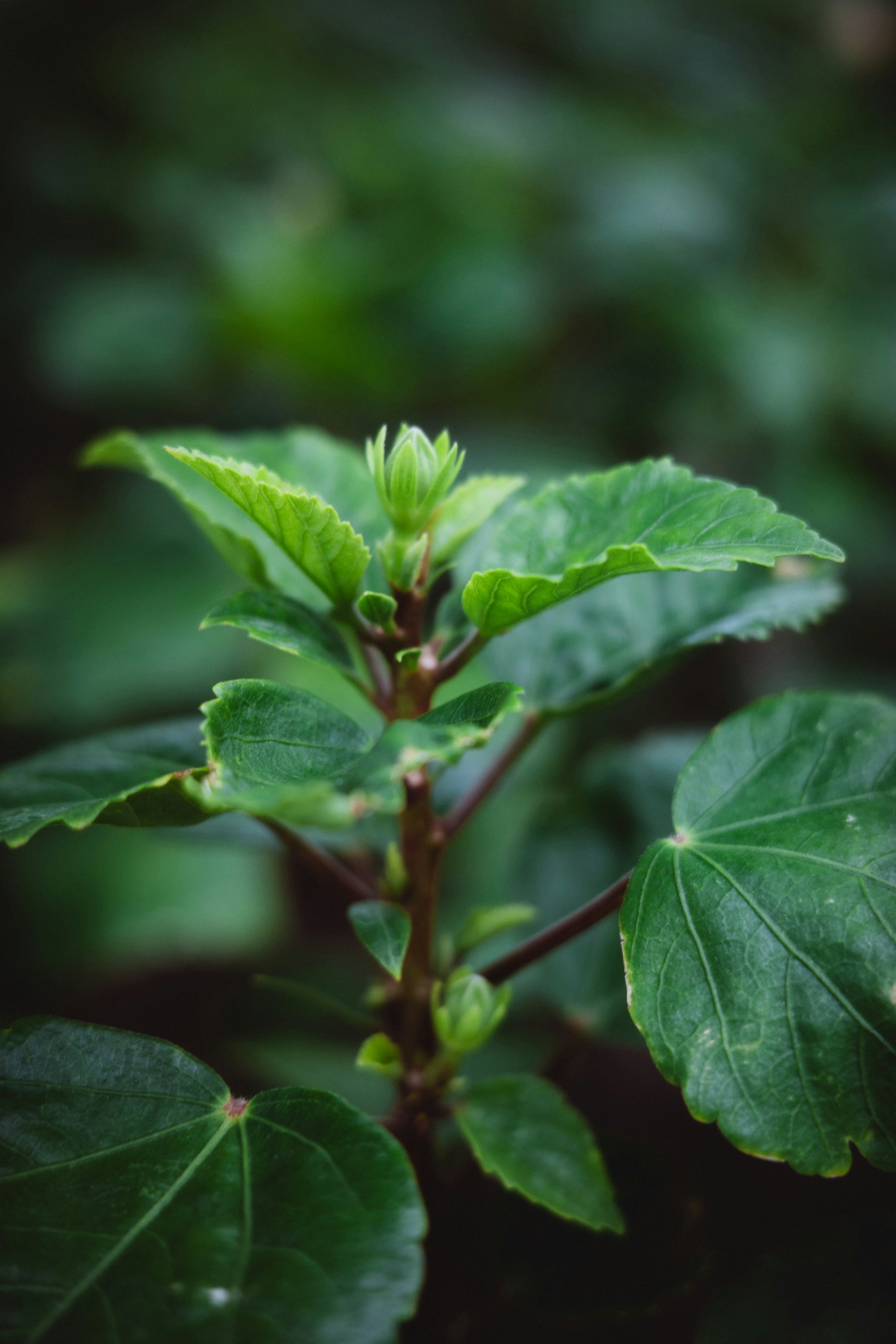 Photo by lazziemoments