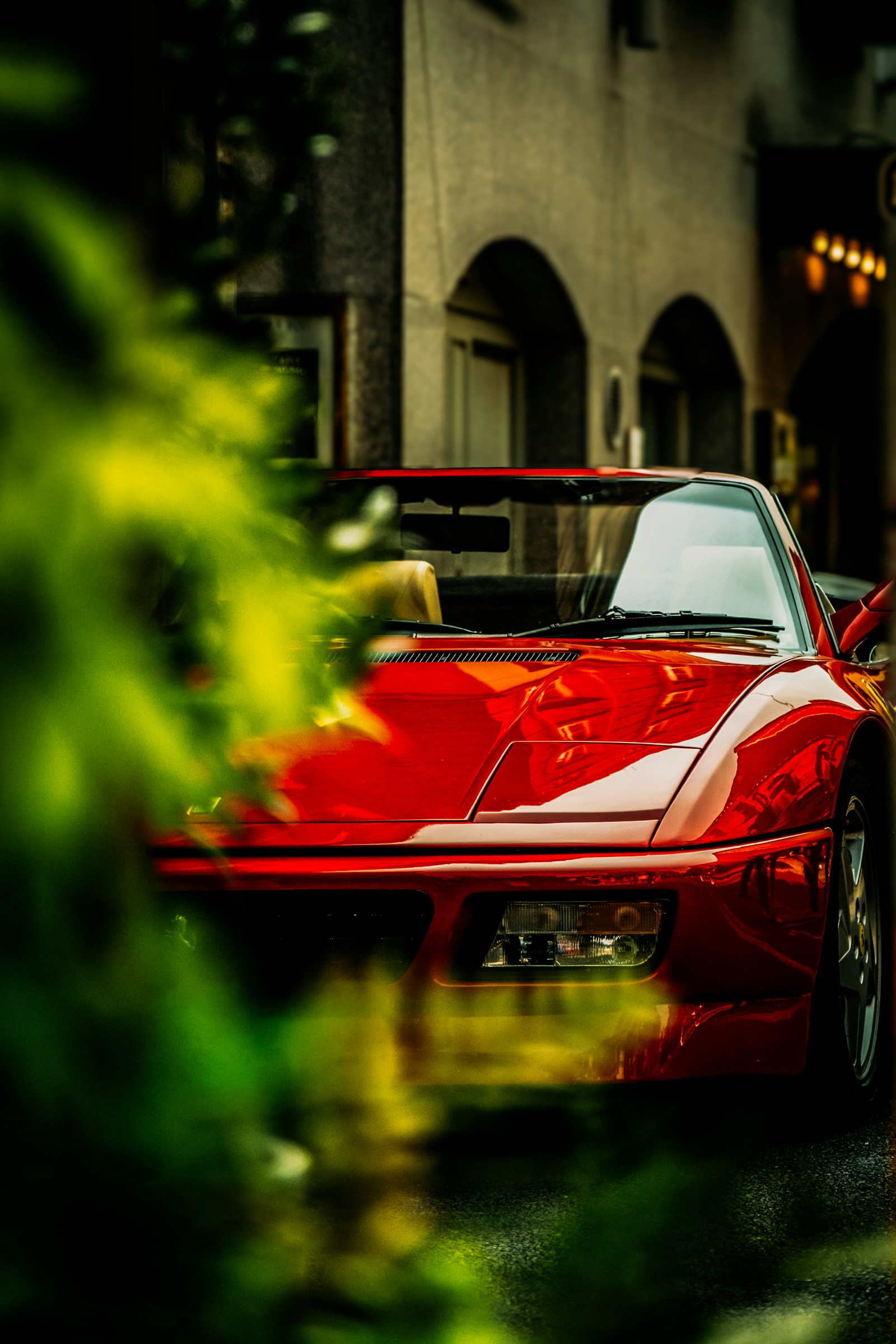 Florida's Luxury Car Culture