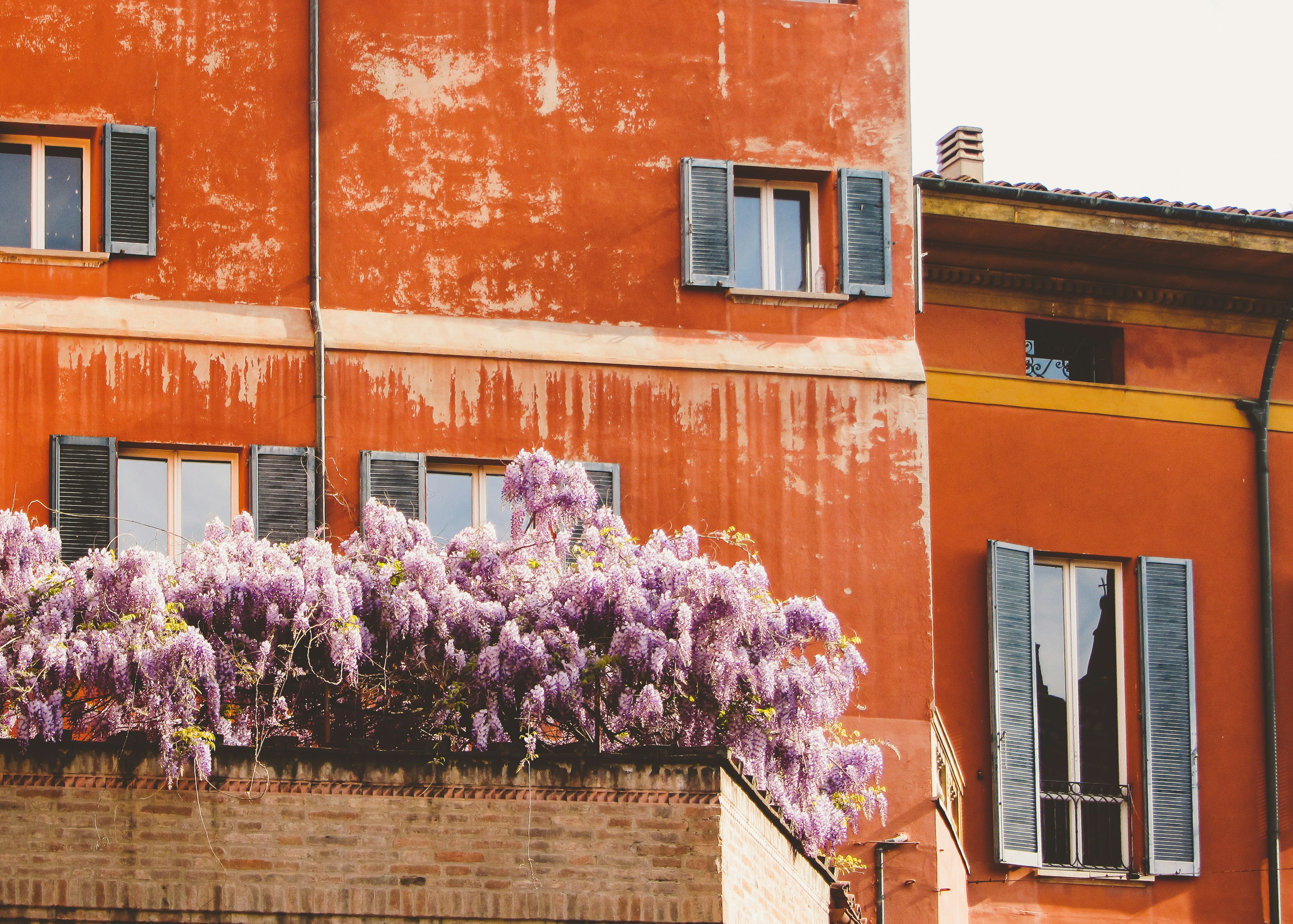 Photo by clovegrove7