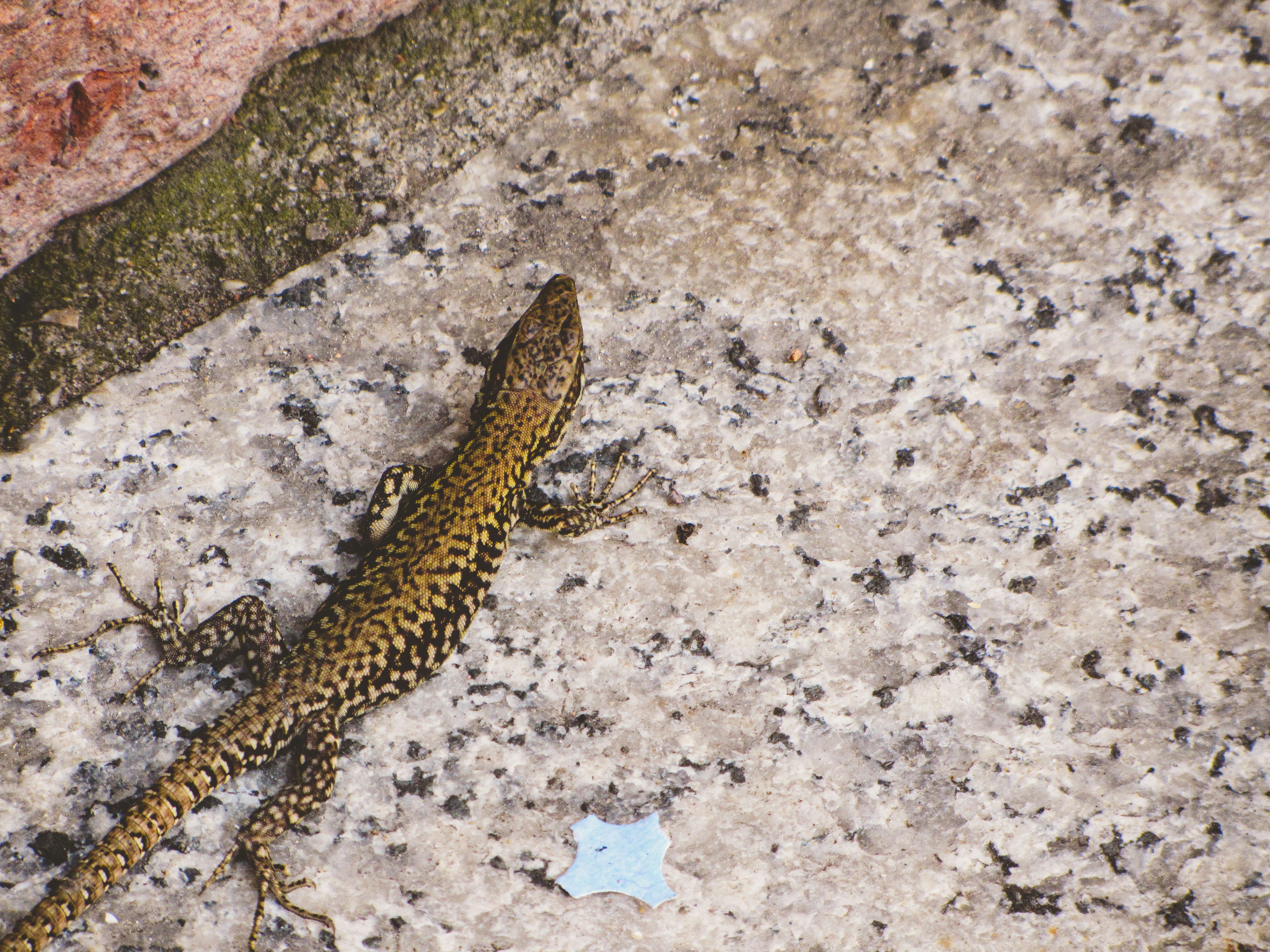 Photo by clovegrove7