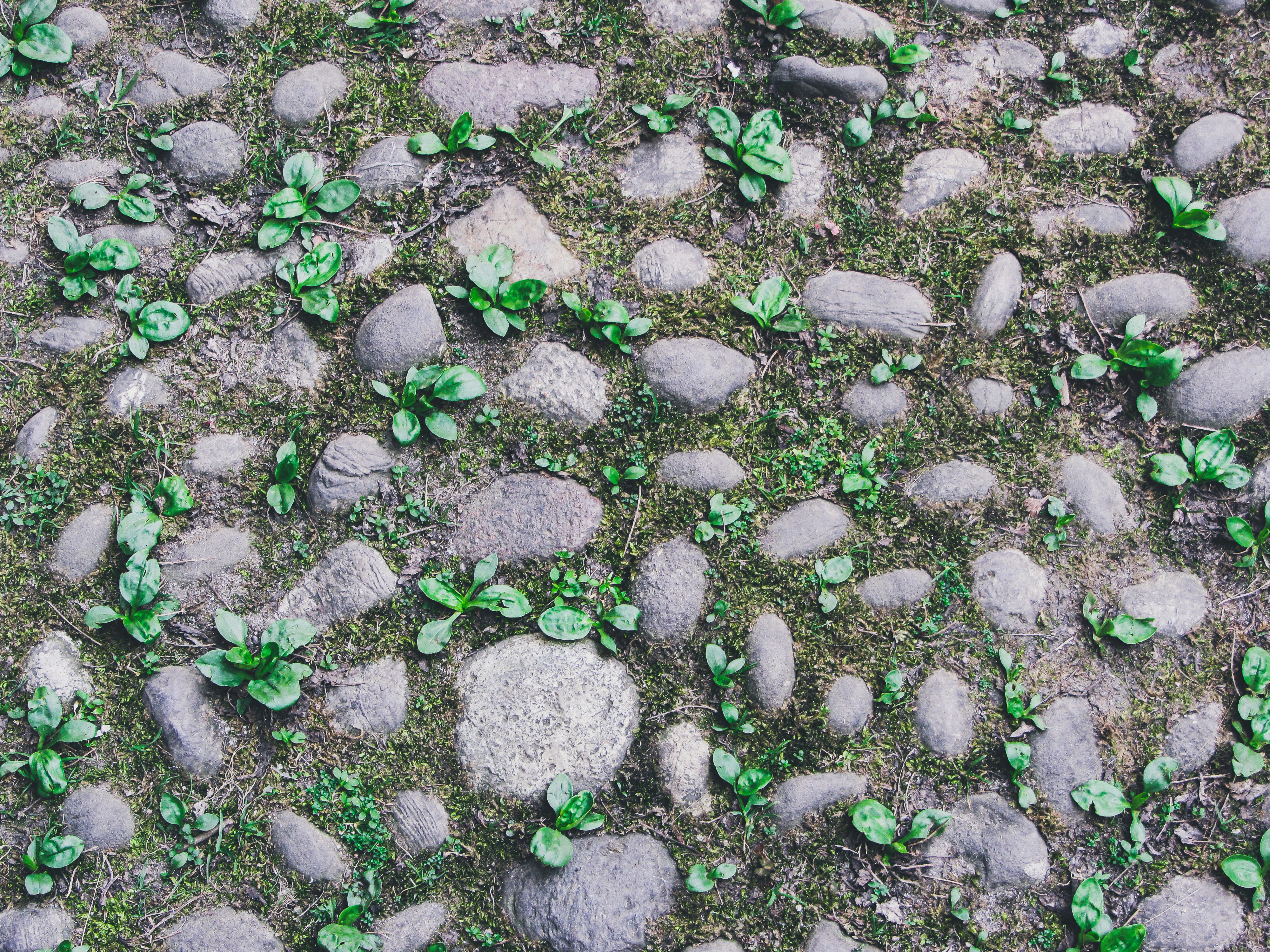 Photo by clovegrove7