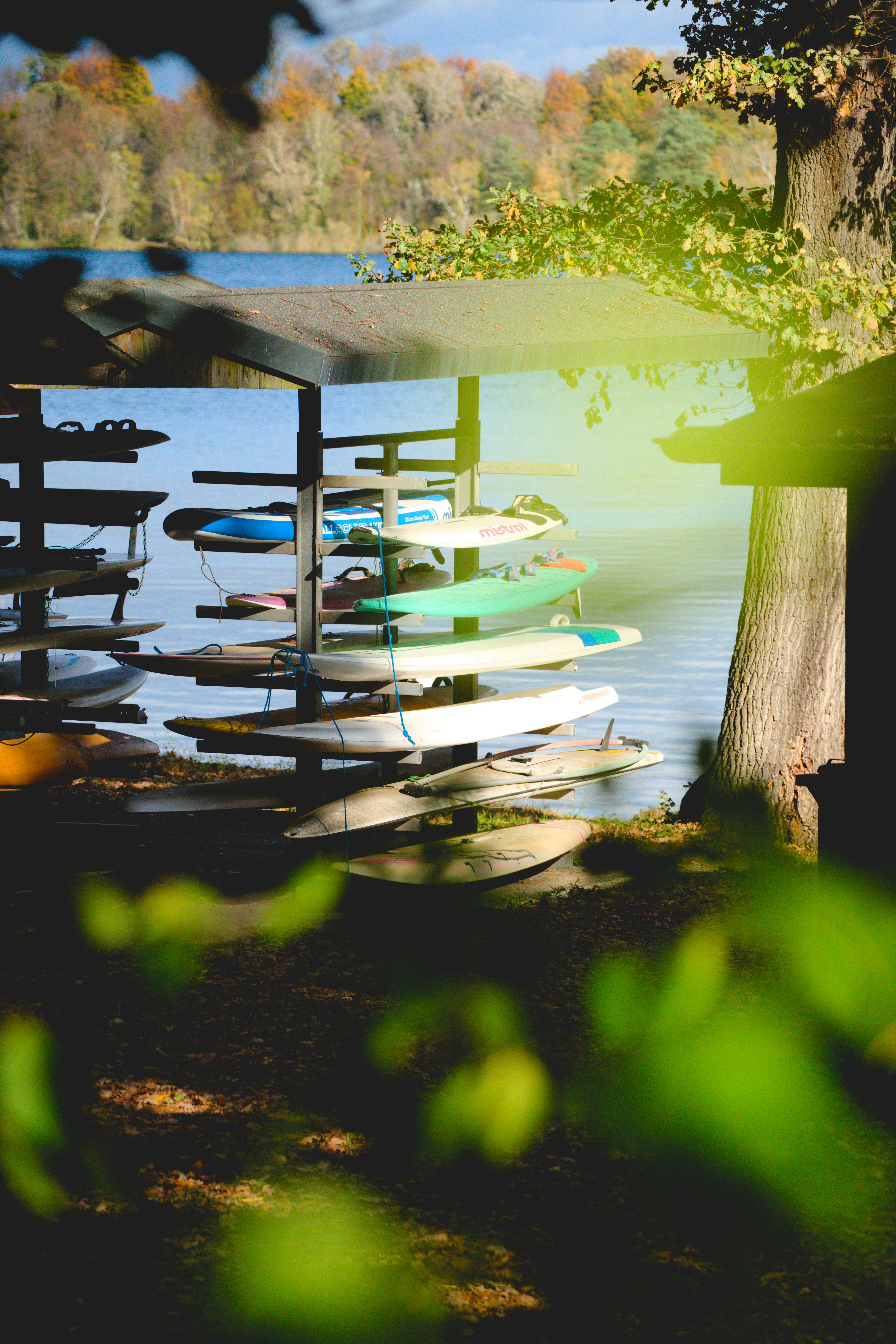 Surfboards and paddleboards neatly stacked by a lake.