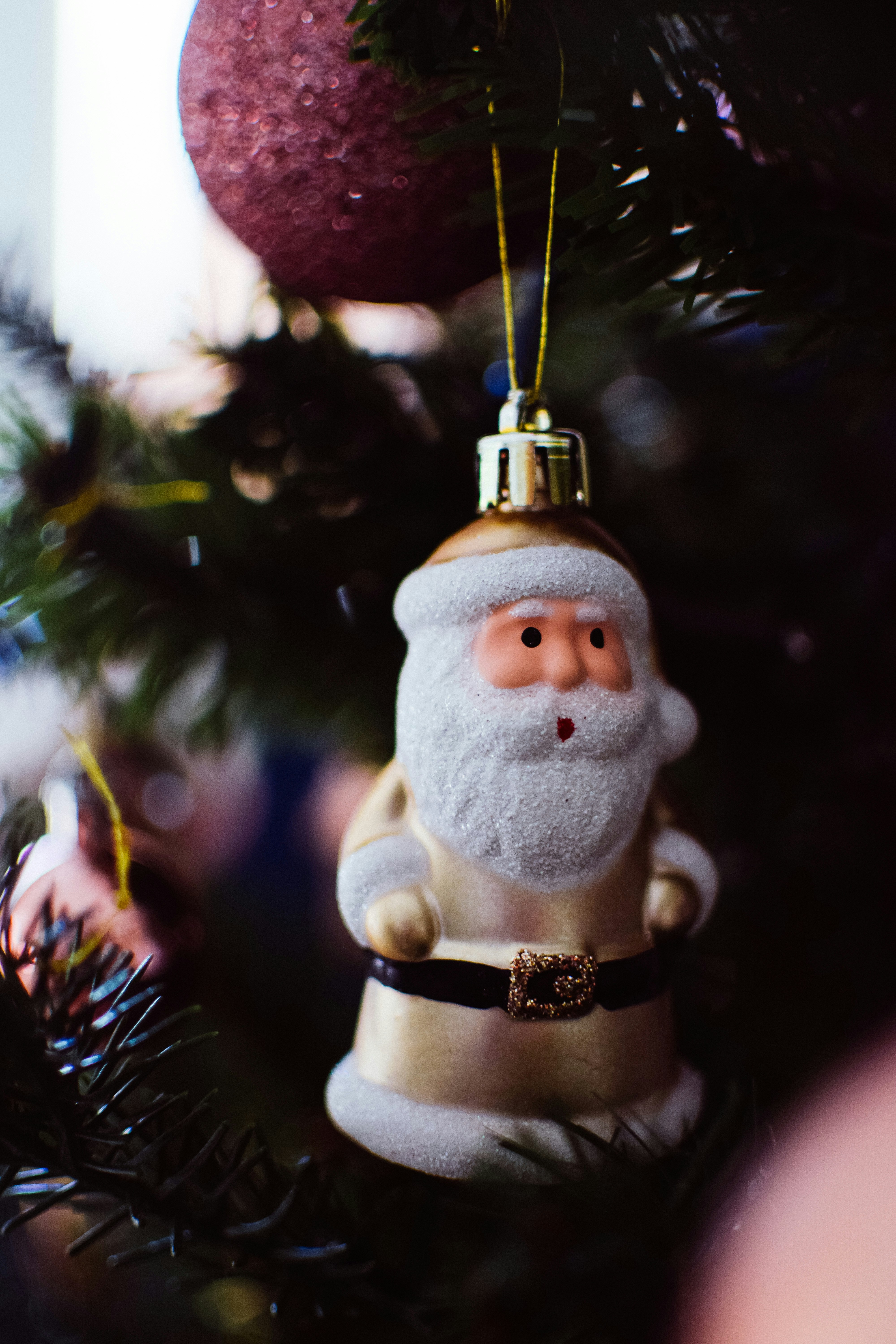 Photo by bnsouzafotografia