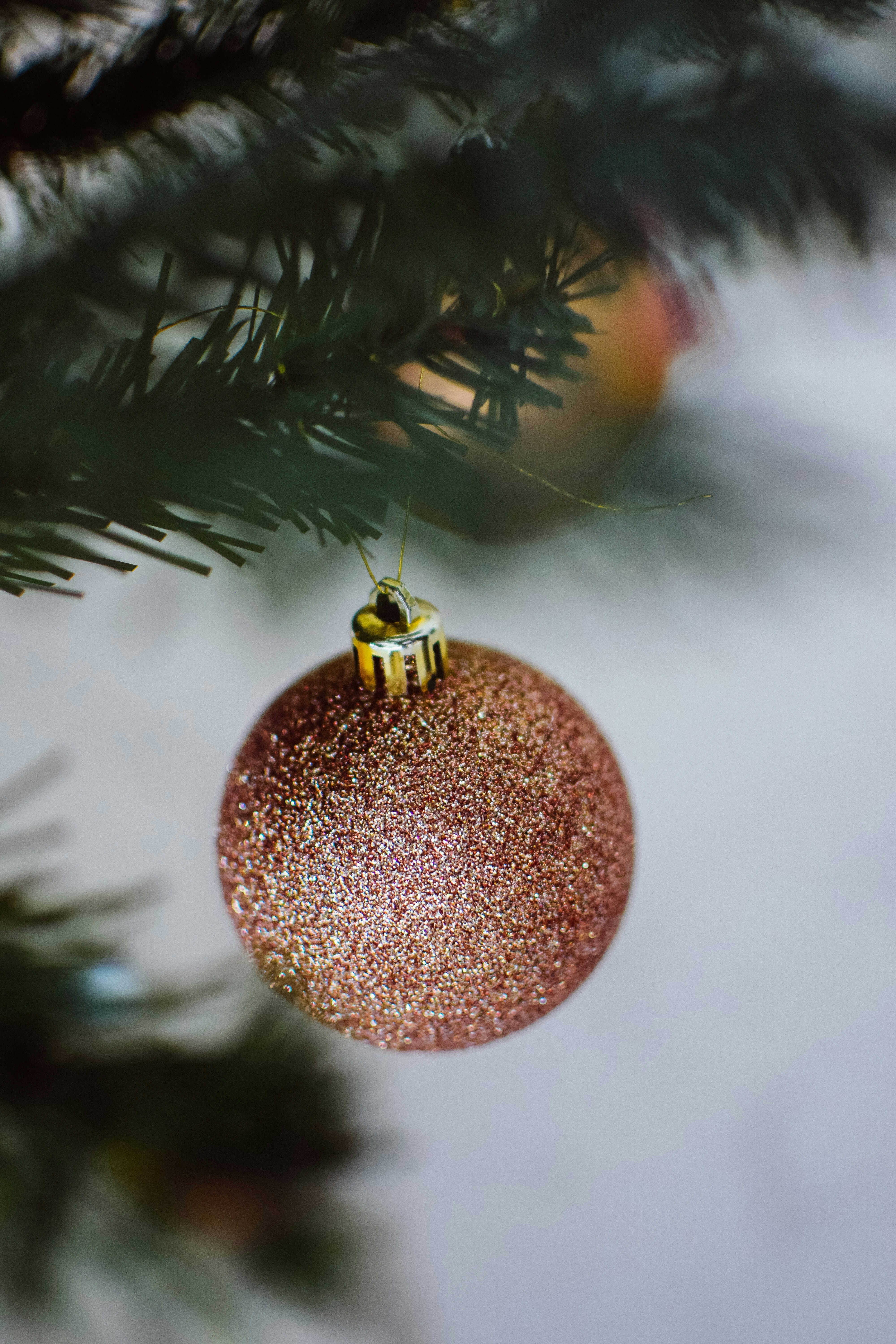 Photo by bnsouzafotografia