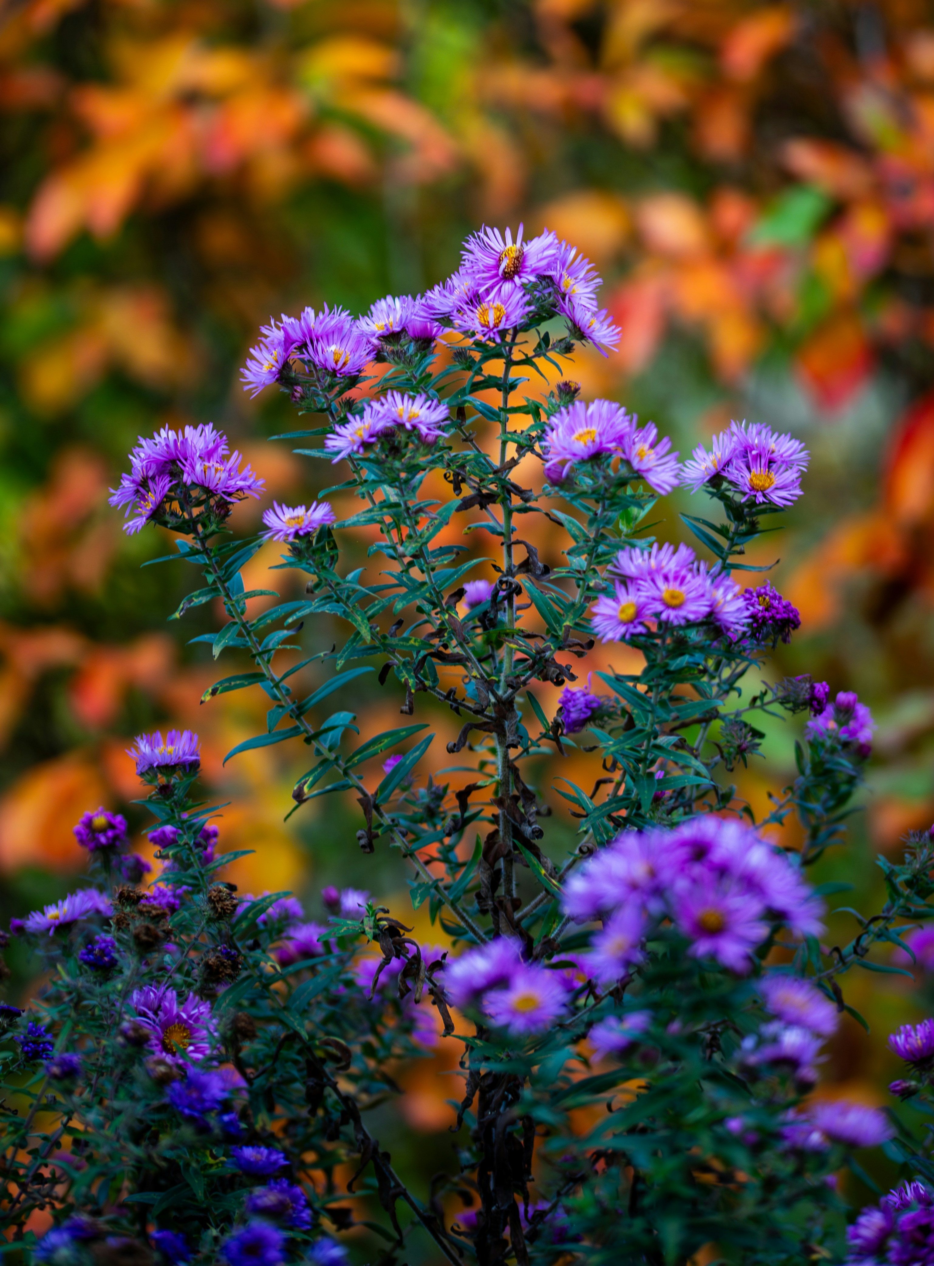 Photo by hdbernd