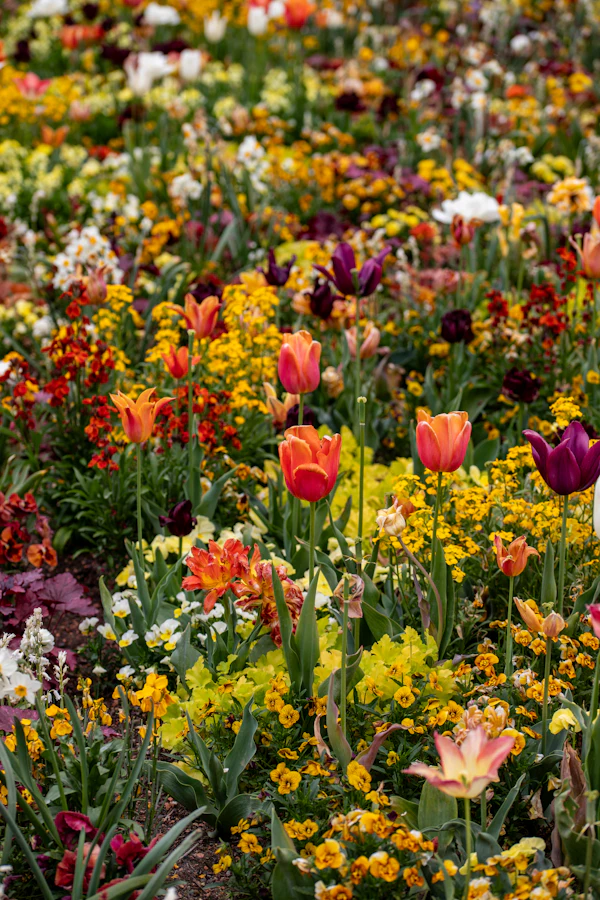 Landscape Maintenance in Washington, DC