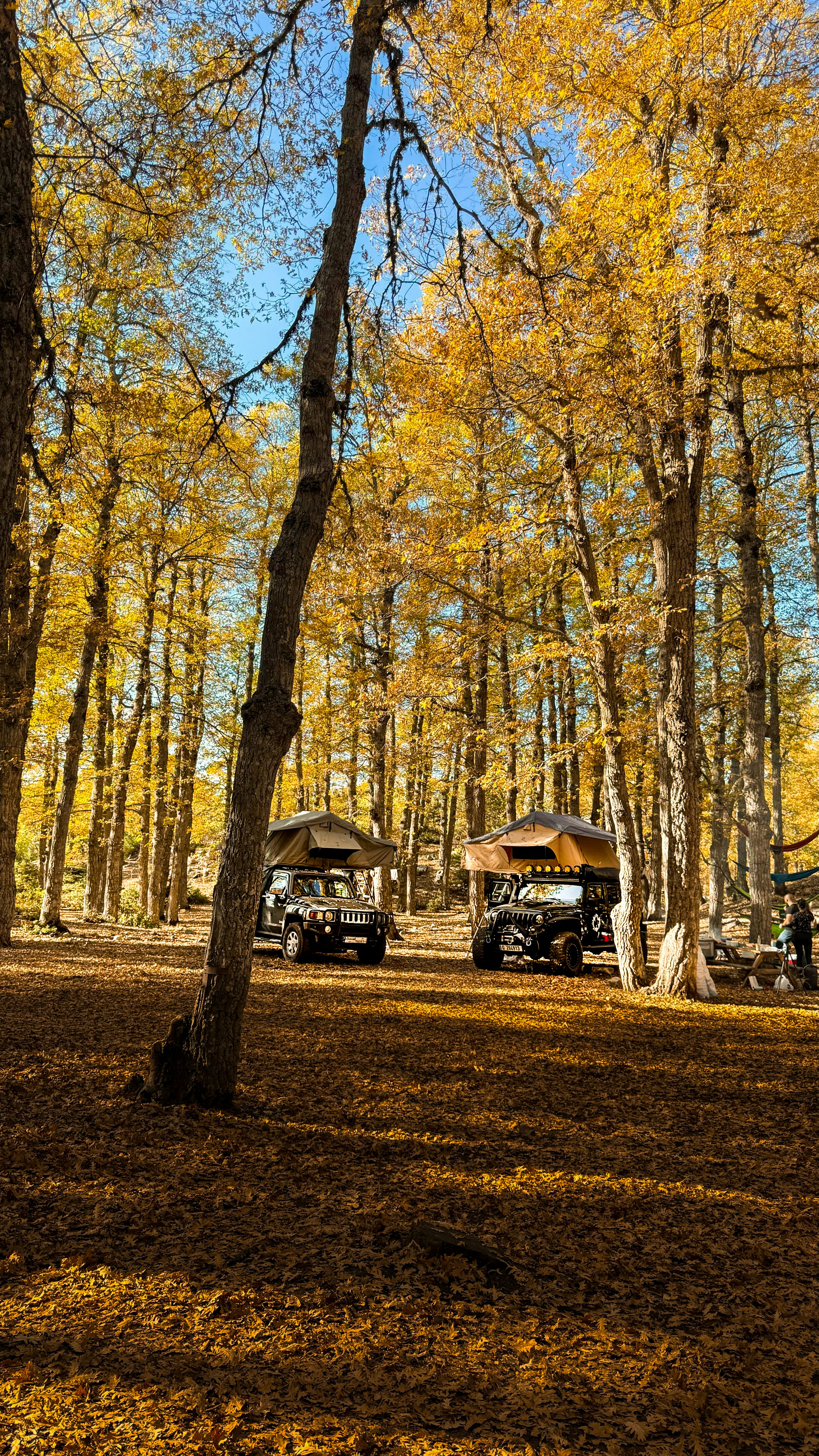 adventure vehicle rooftop, wallpaper, Roof Rack Systems: Choosing a Reliable Option 6