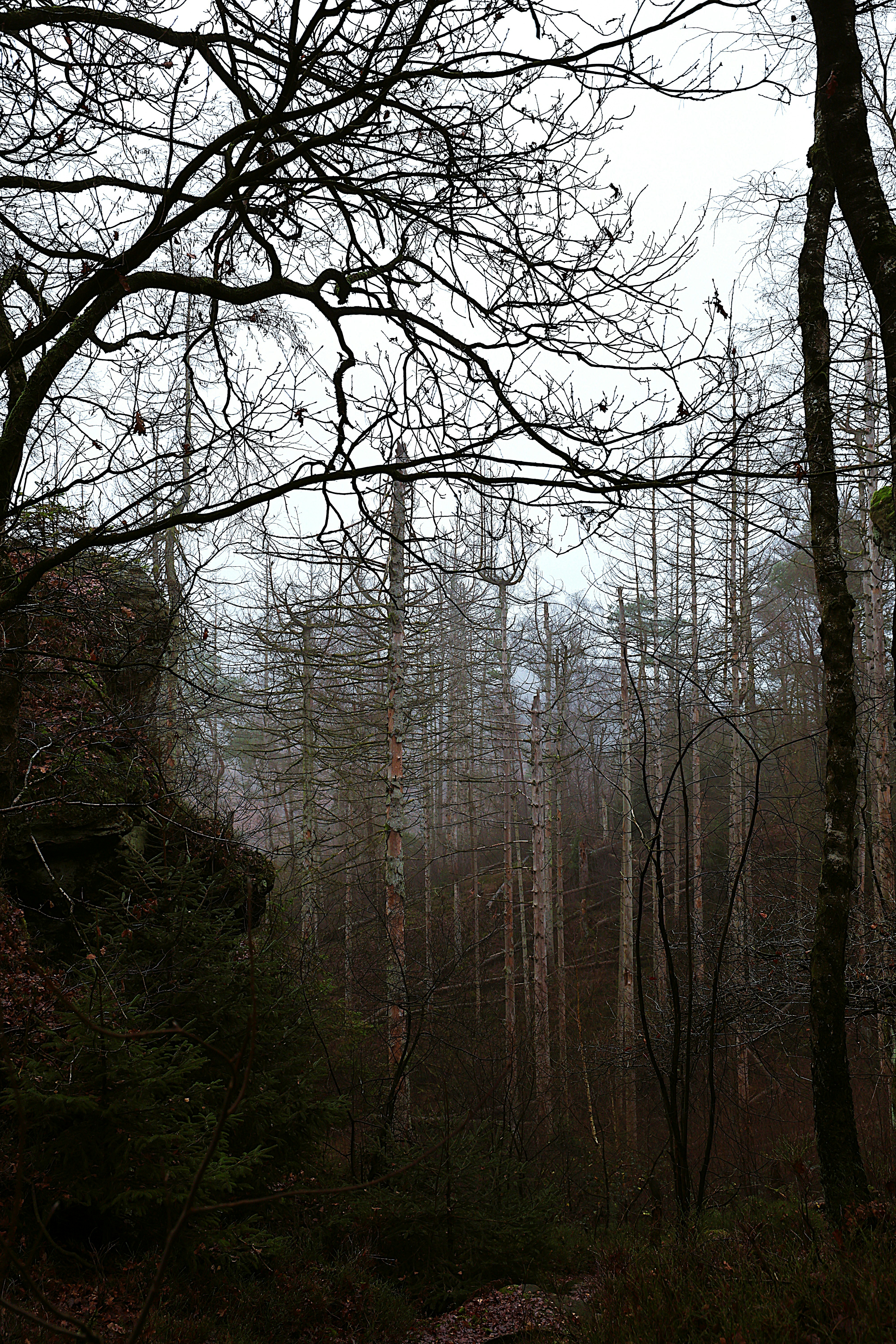 Photo by merih82
