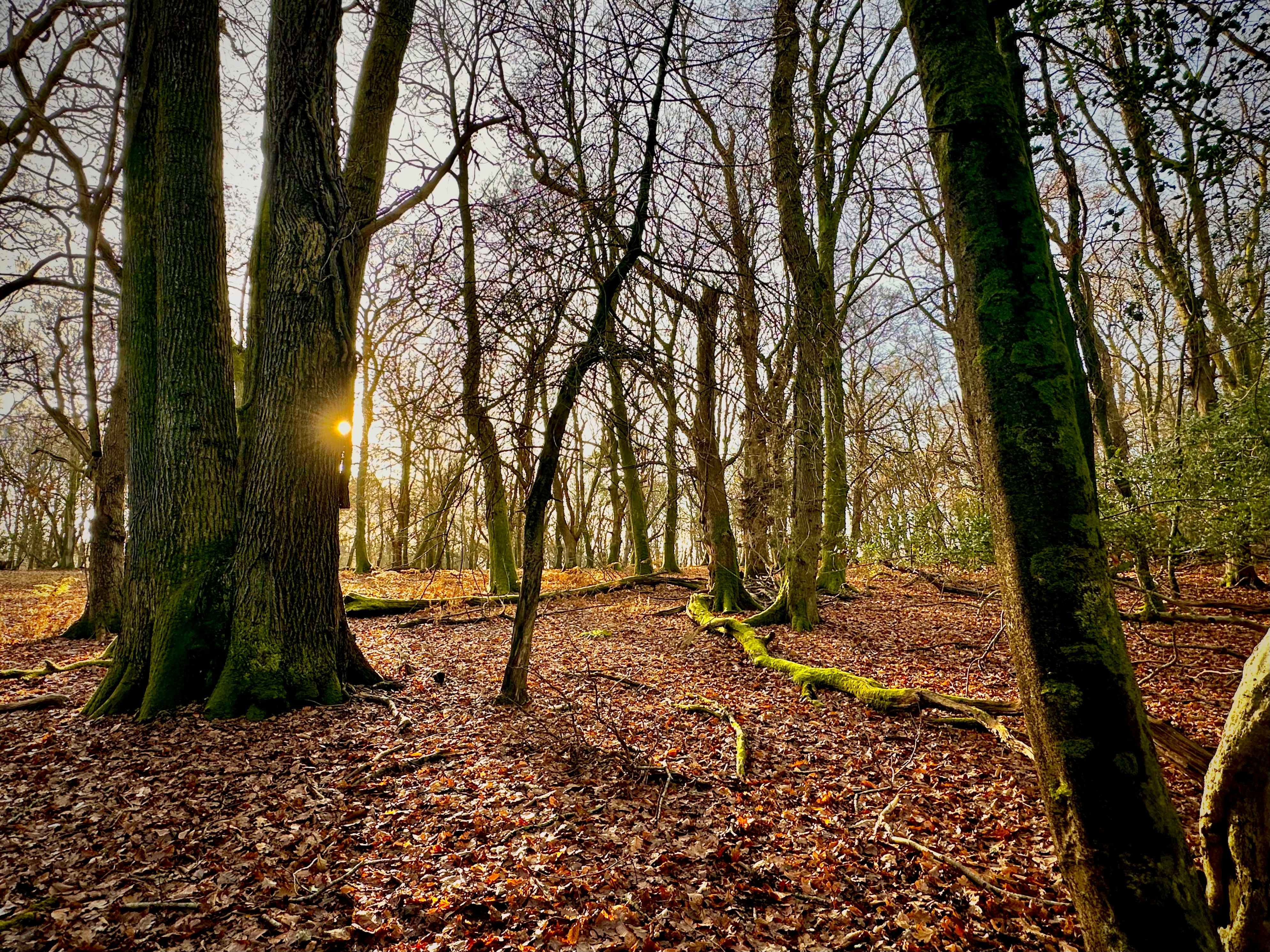 Photo by daaannorris