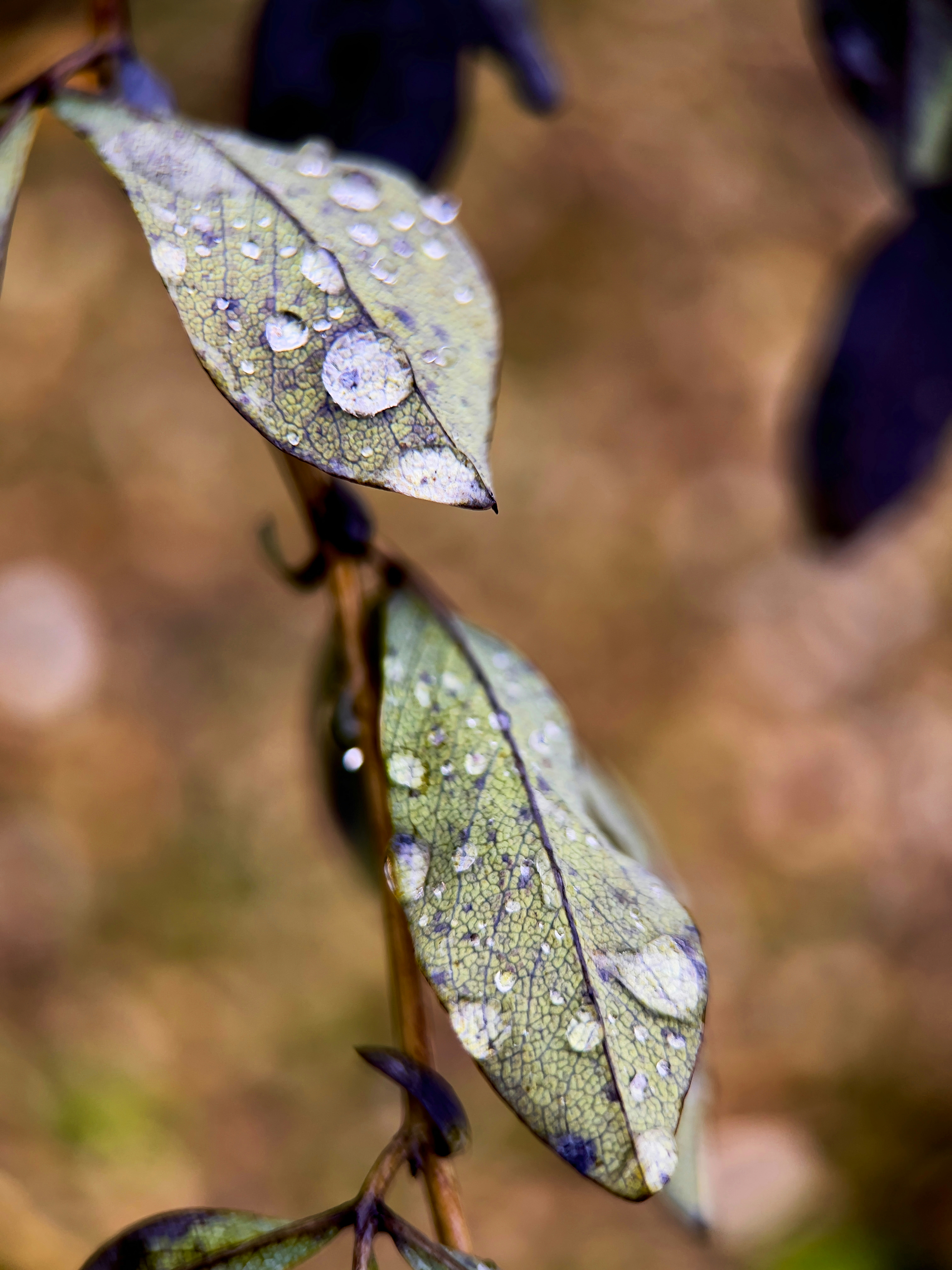 Photo by annie_kramer74