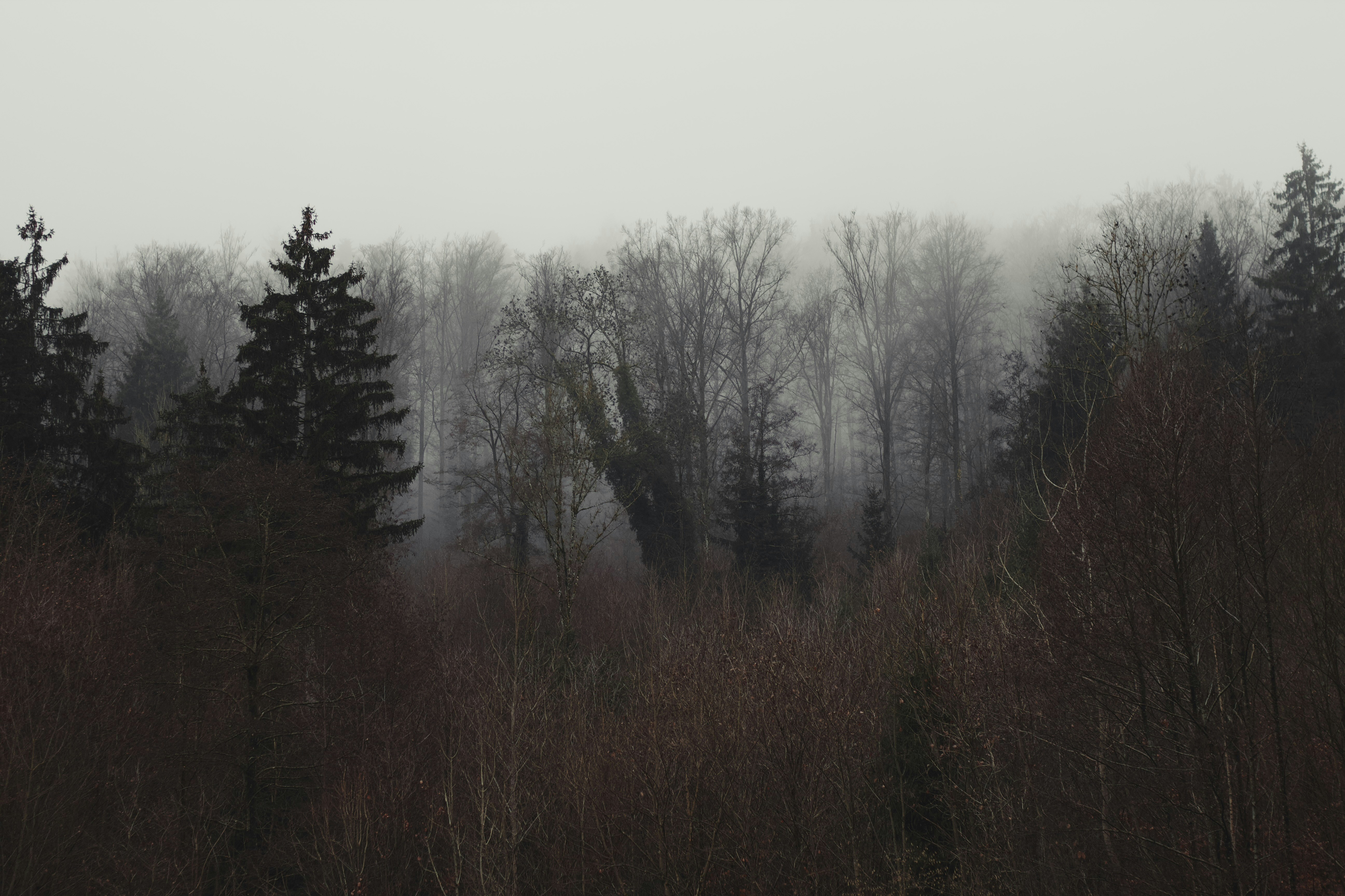 Photo by annie_kramer74