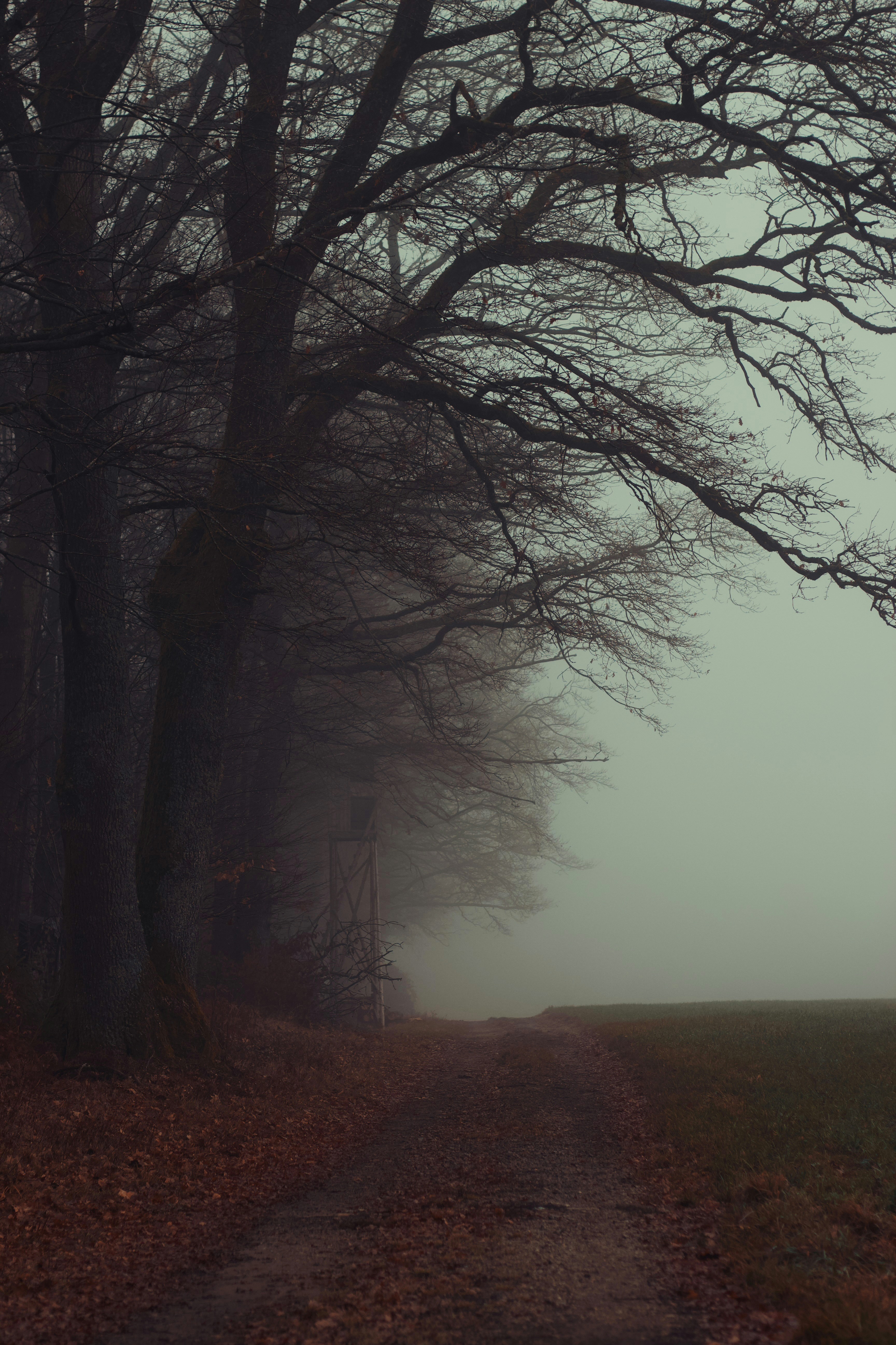 Photo by annie_kramer74