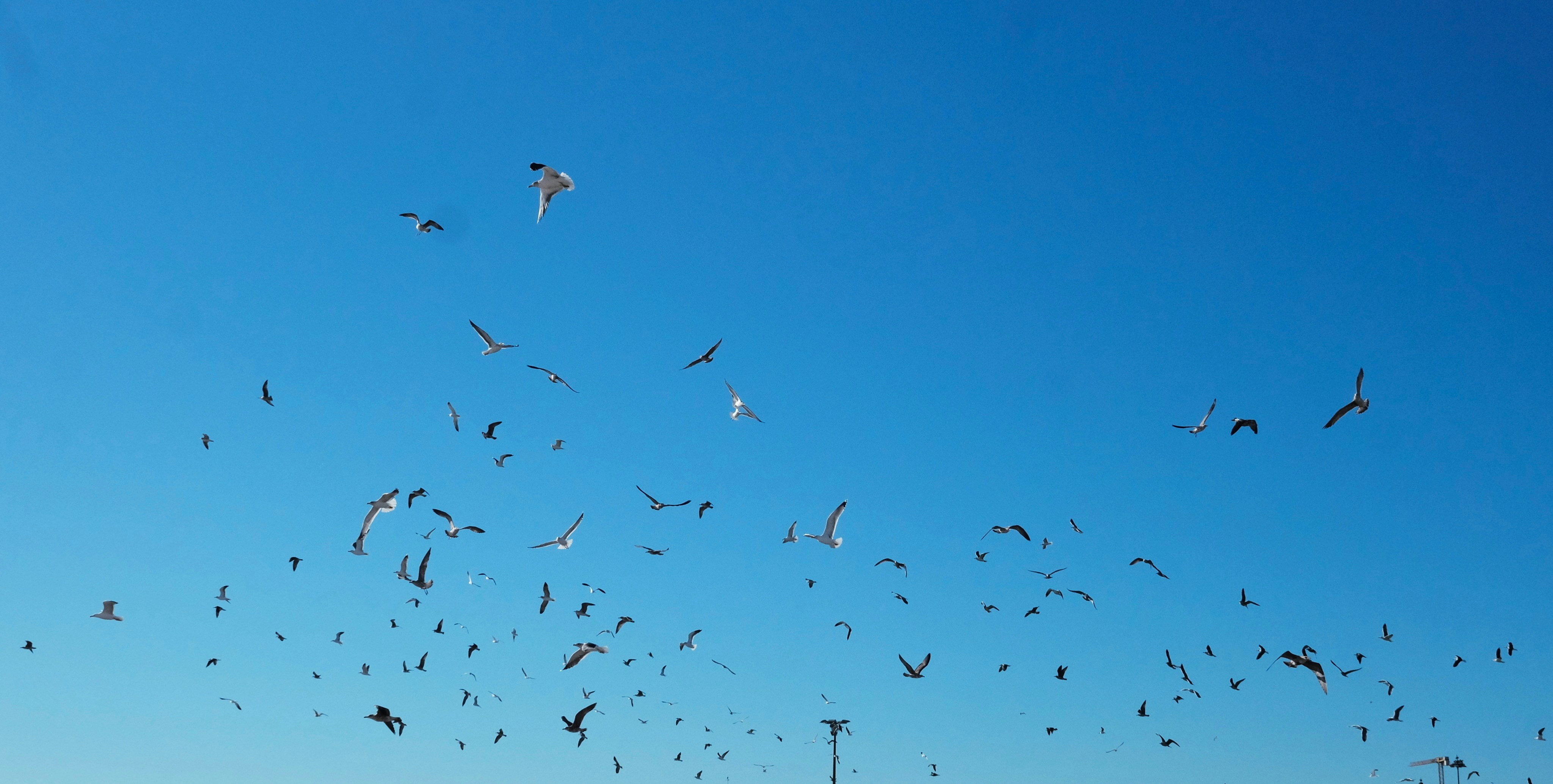 Photo by loubarross888