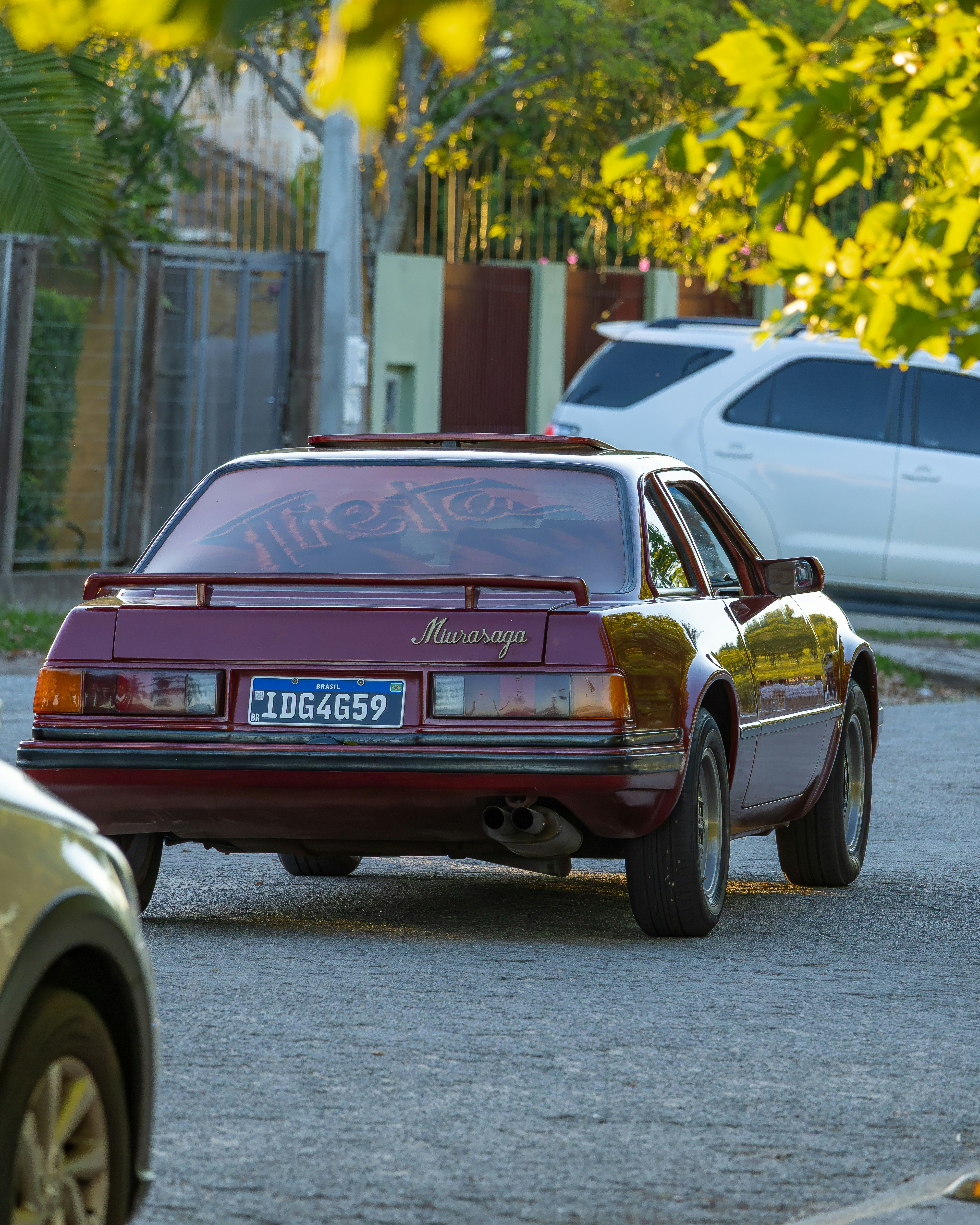 Photo by matheuskprot