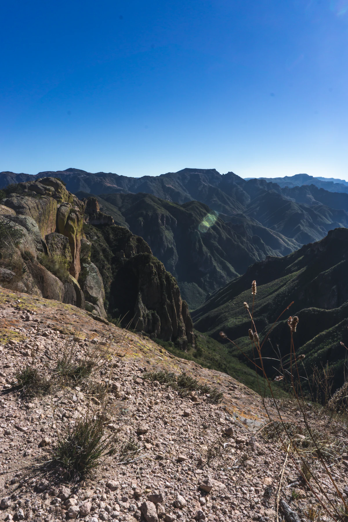 A rocky ridge above the Barrancas del Cobre, with dry grass in front and folded green canyon walls behind