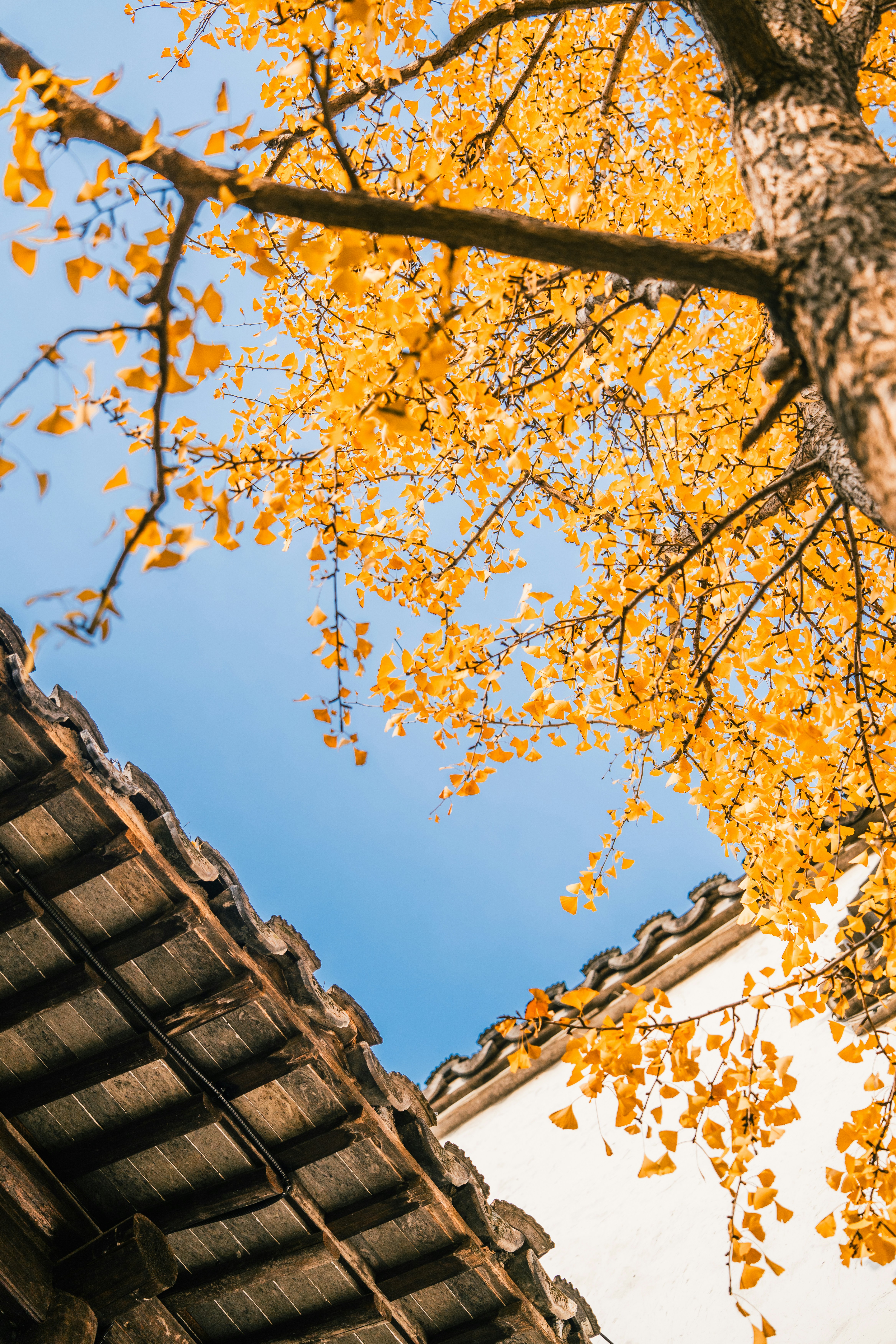 Photo by lightman0215