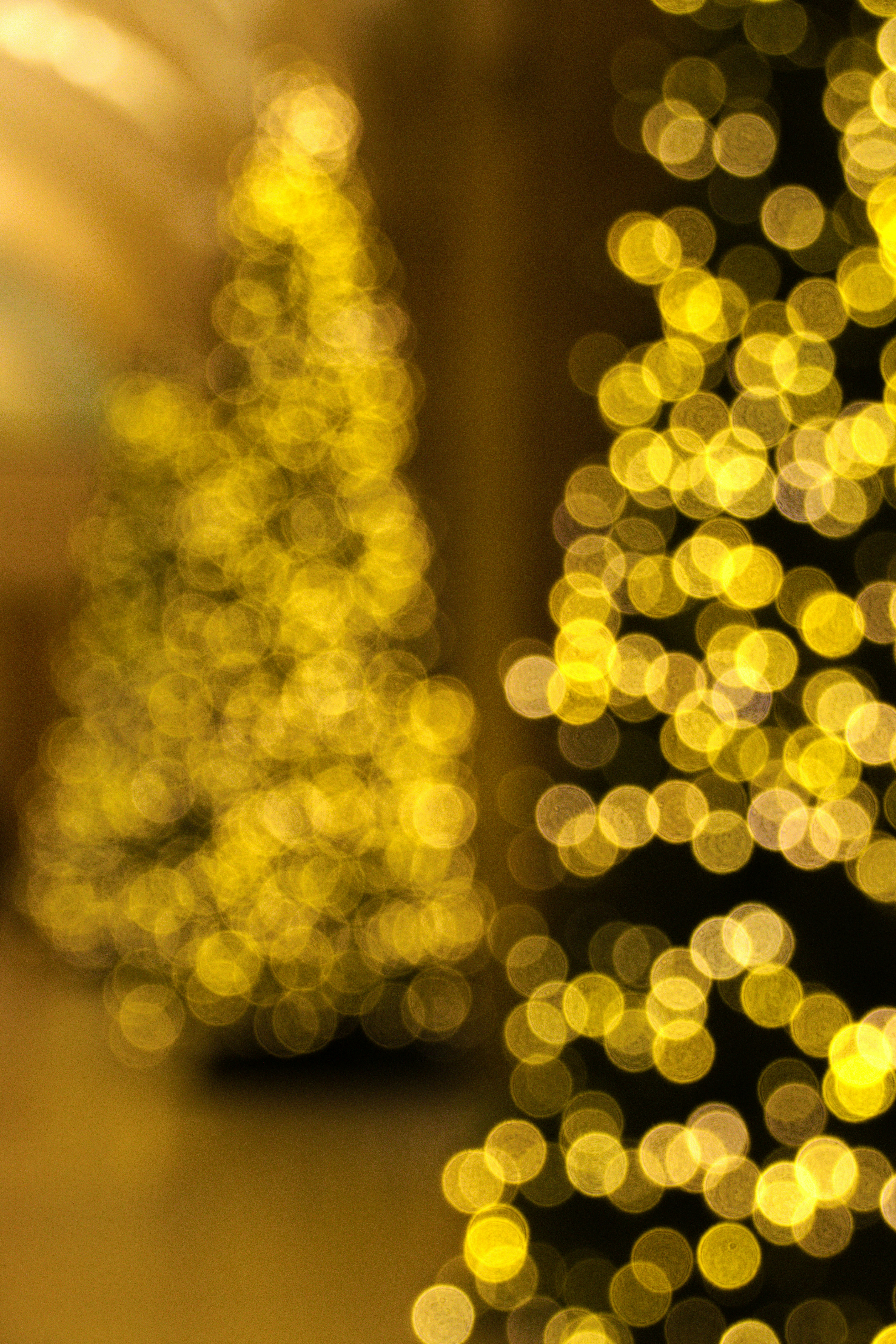 Photo by akshatjisme