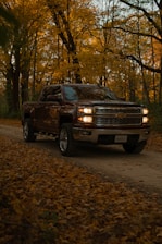 Brown pickup truck driving on a dirt road in autumn.