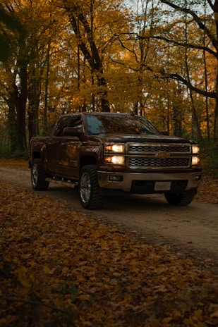 Brown pickup truck driving on a dirt road in autumn.