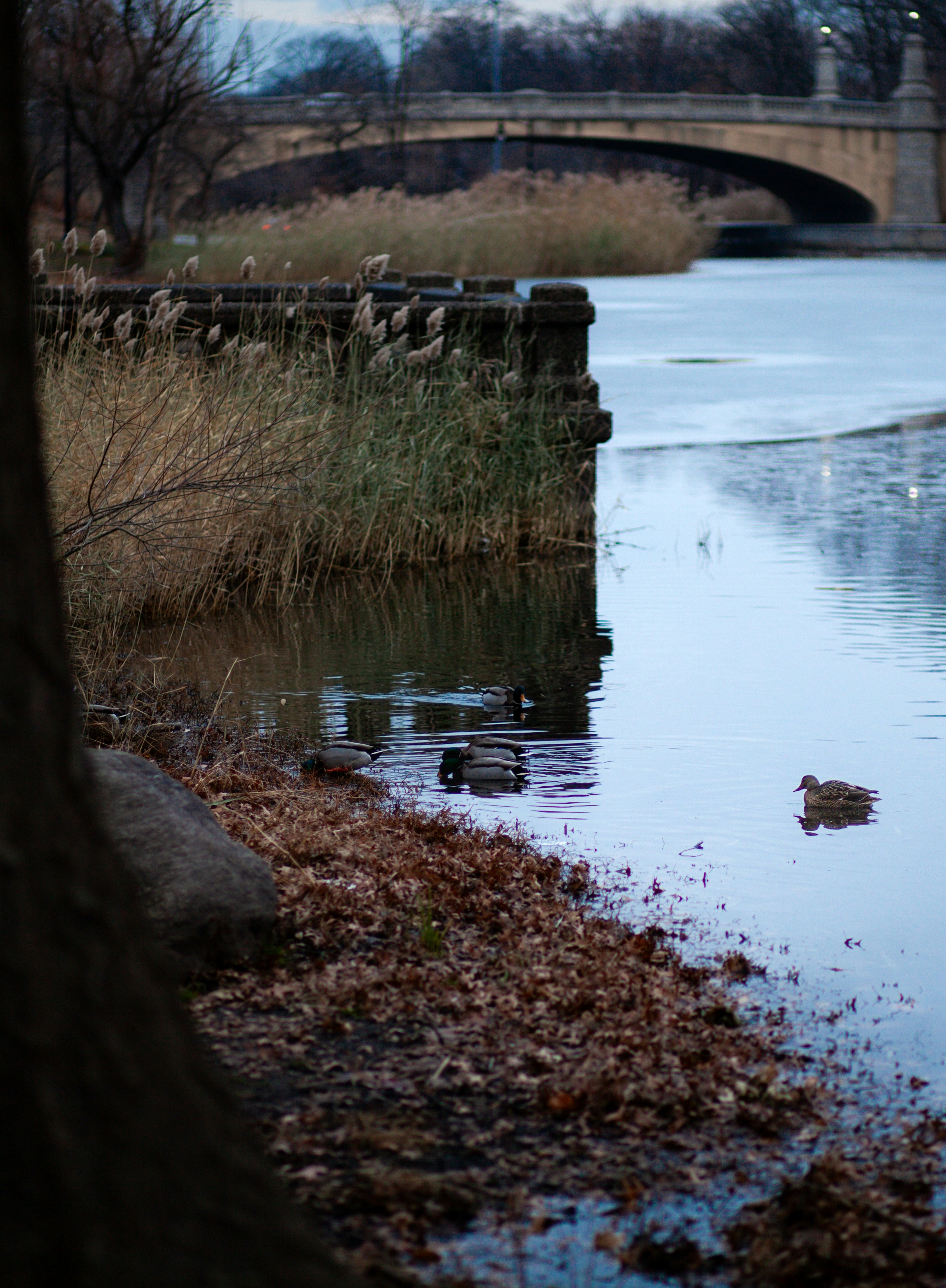 Photo by thegardenstateexplorer