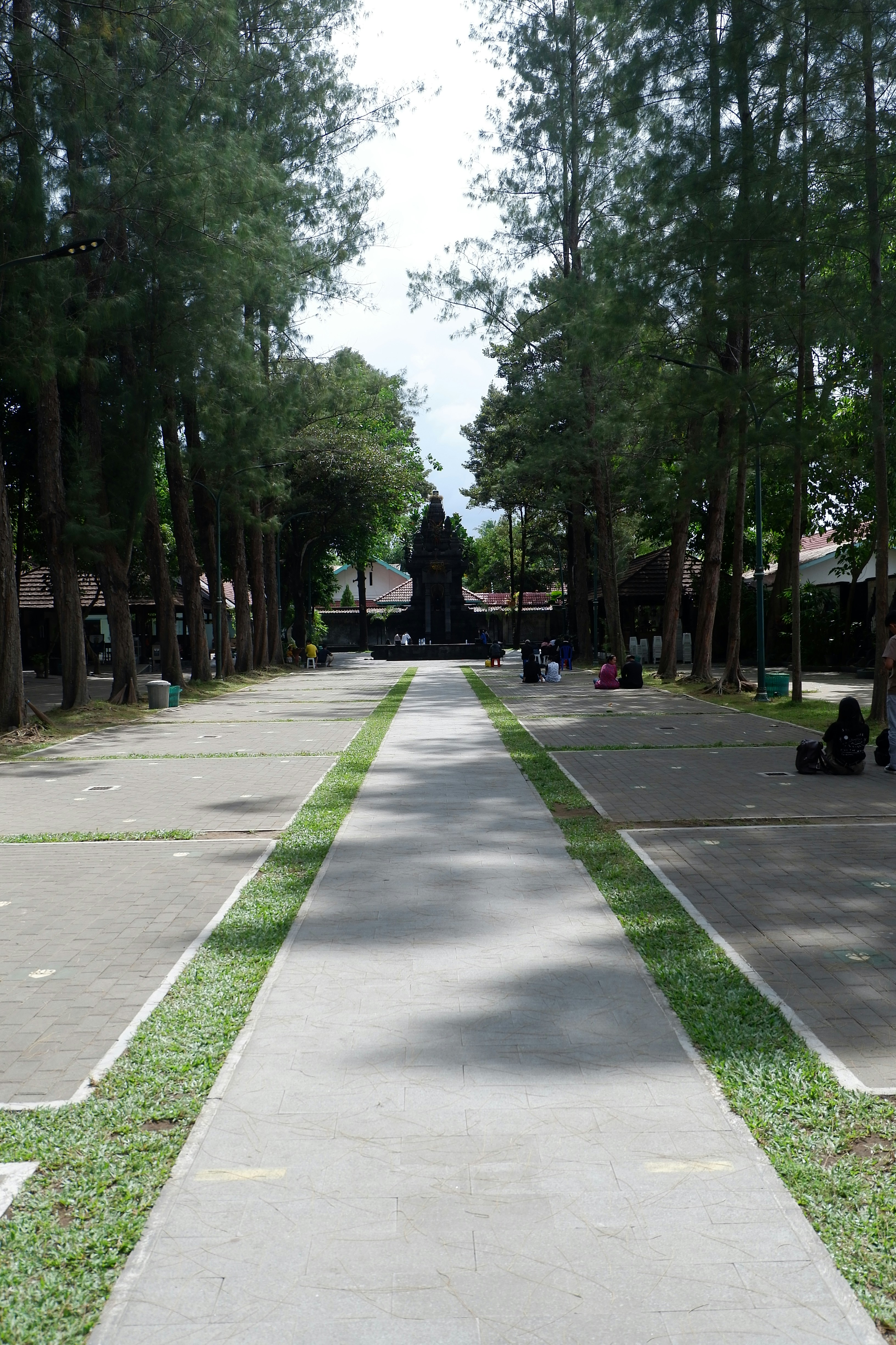 A stone pathway winding through a lush garden.