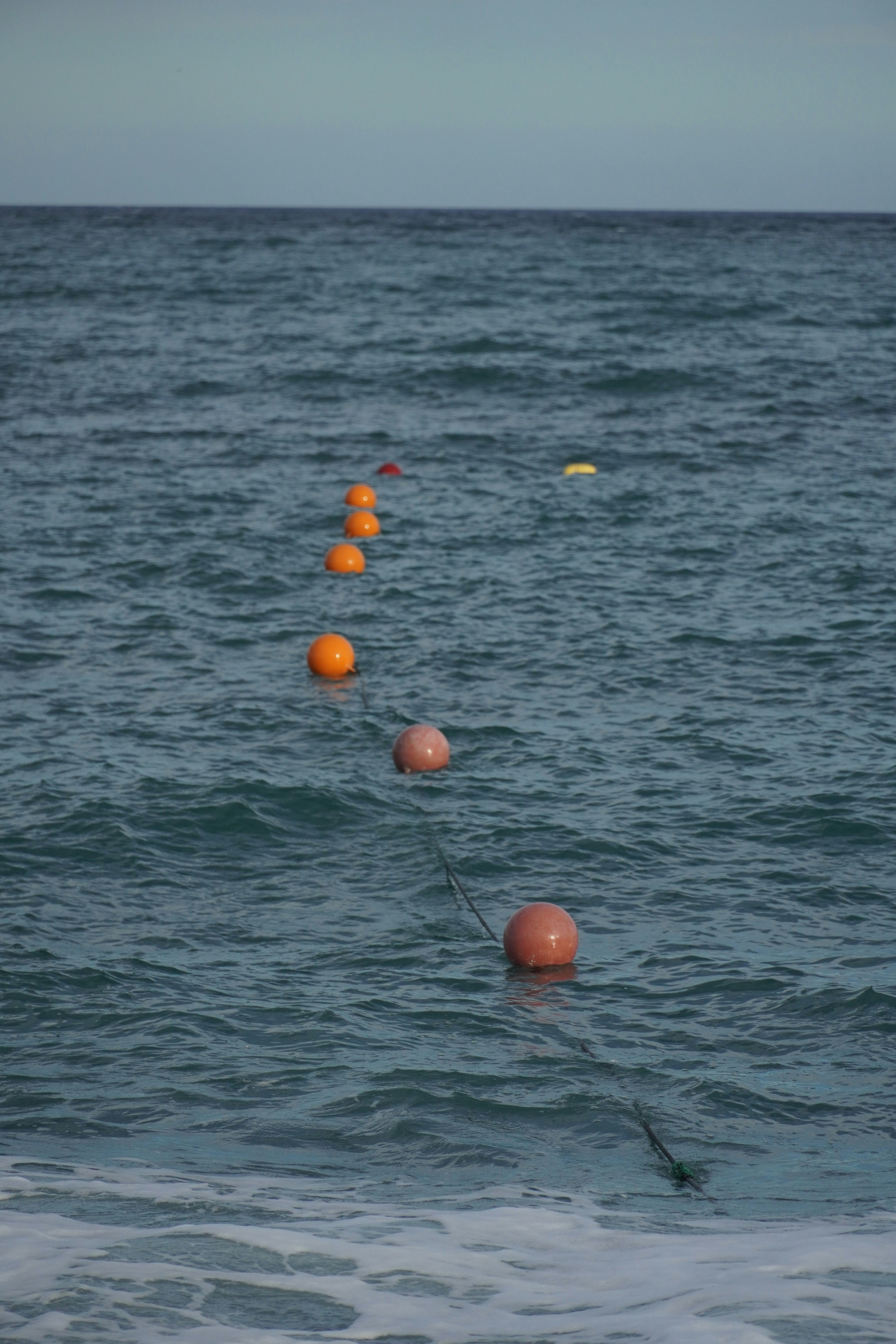 オレンジ色のブイが海面に浮かびます