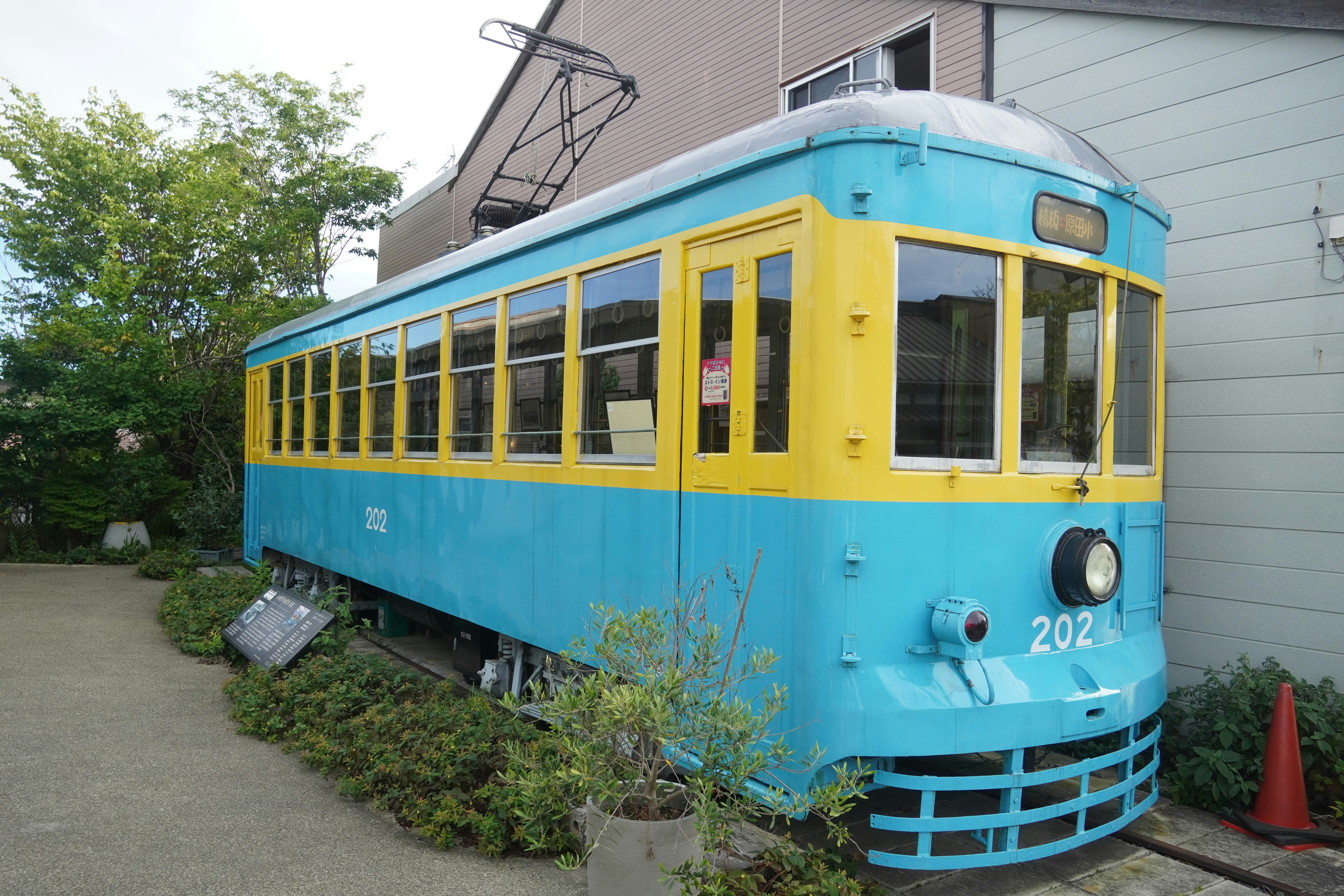 Photo by dsnphotography