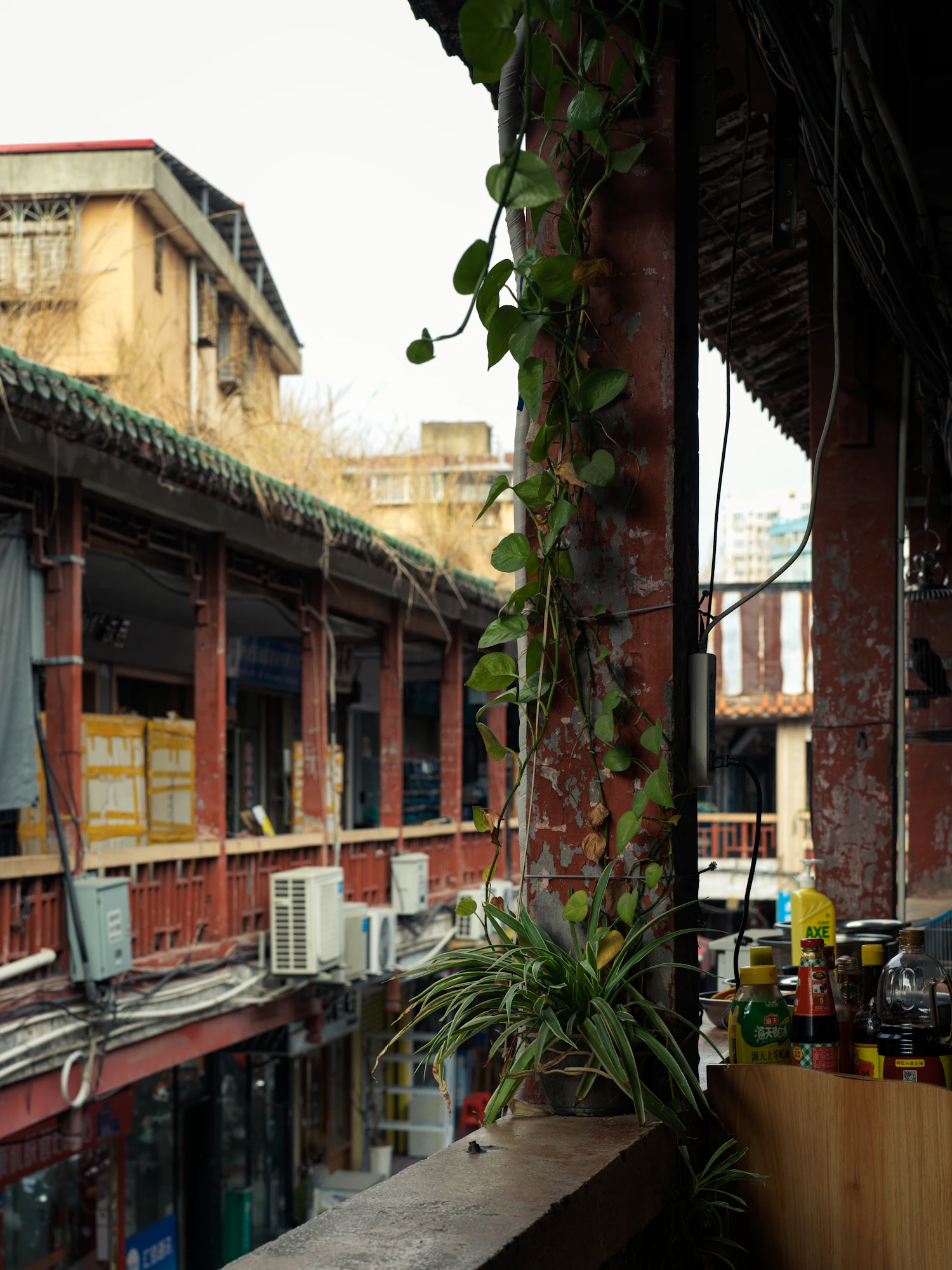 Old Quanzhou rooftops and lanes