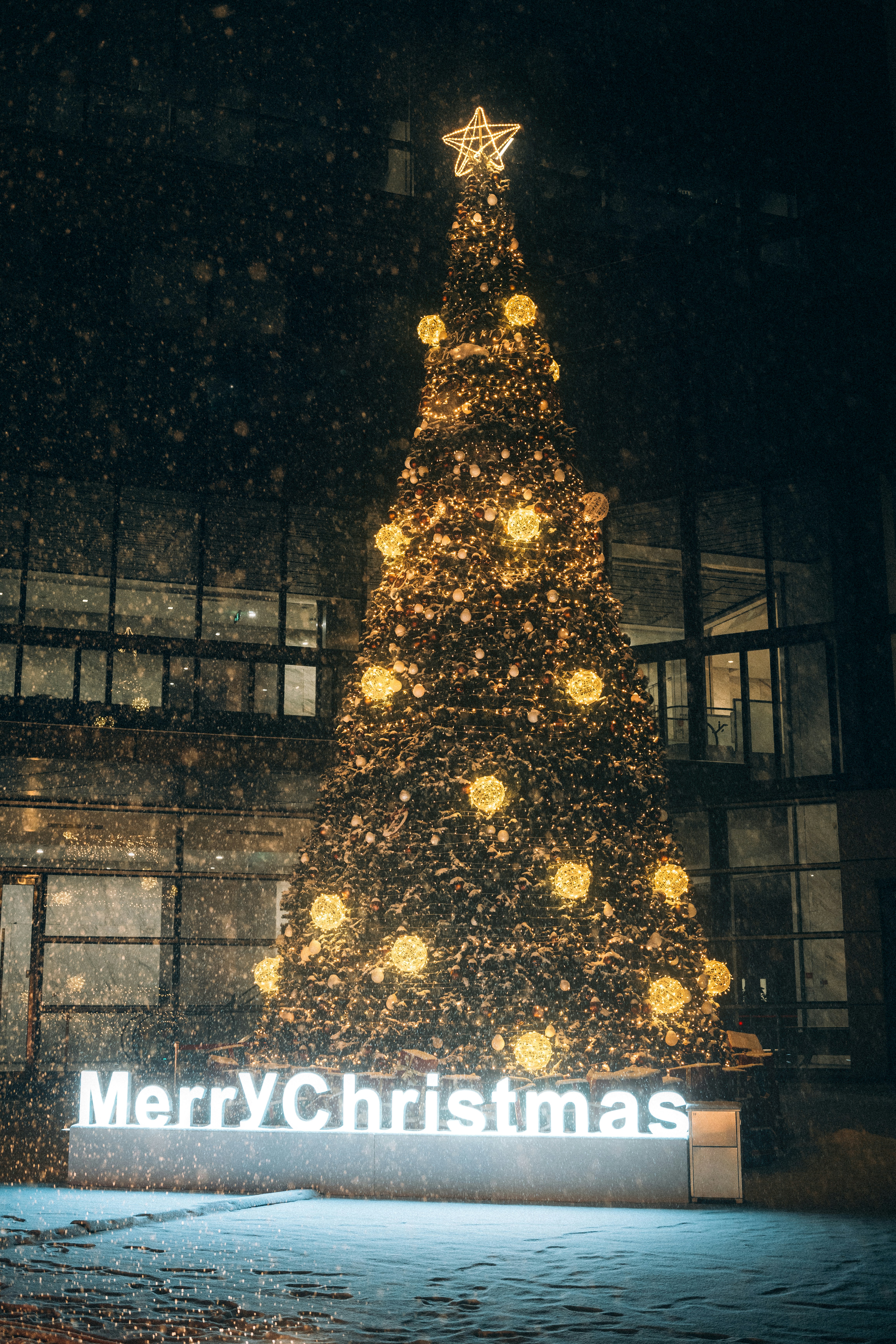 A decorated christmas tree with merry christmas sign.