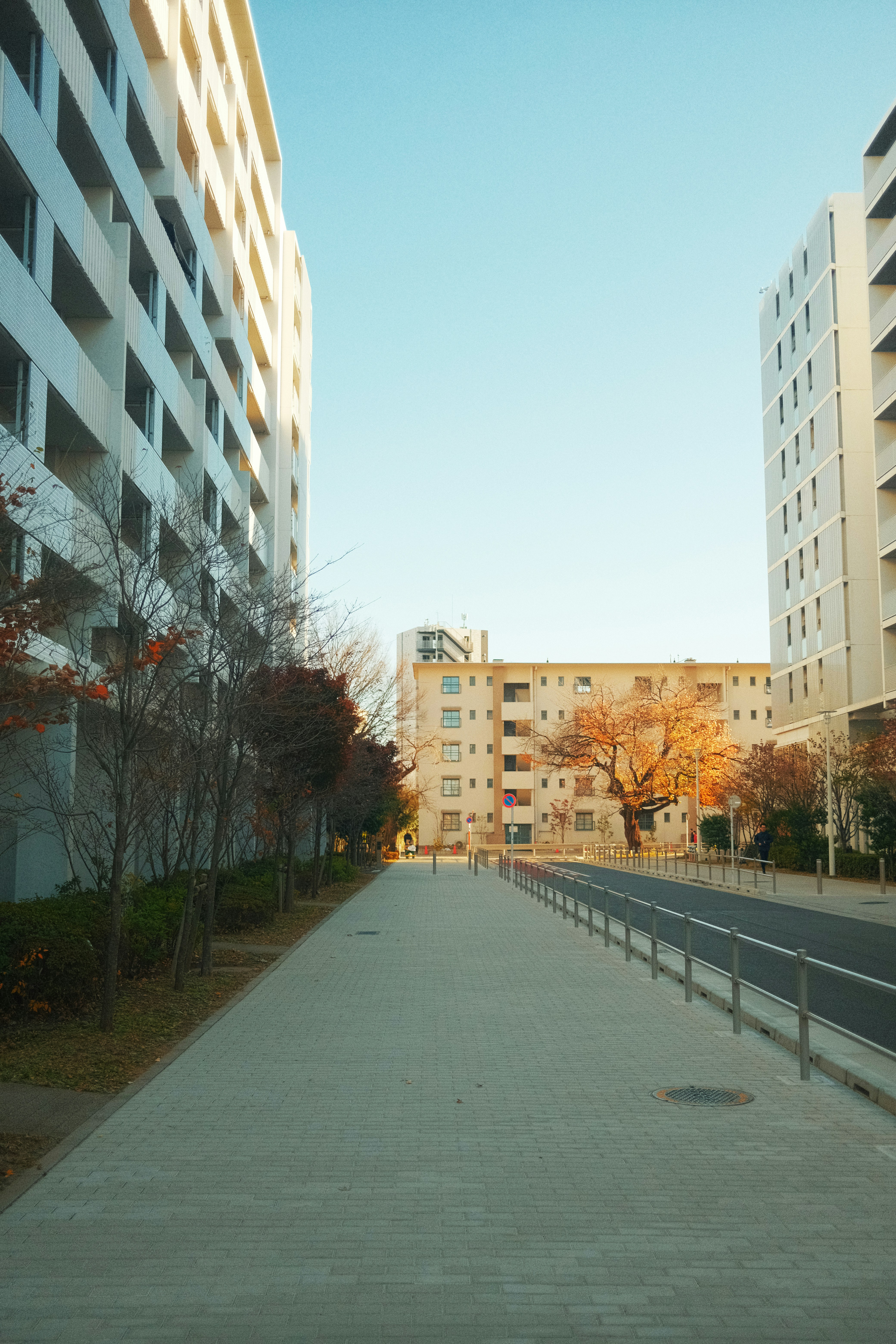 Edificios de apartamentos modernos bordean un camino claro.